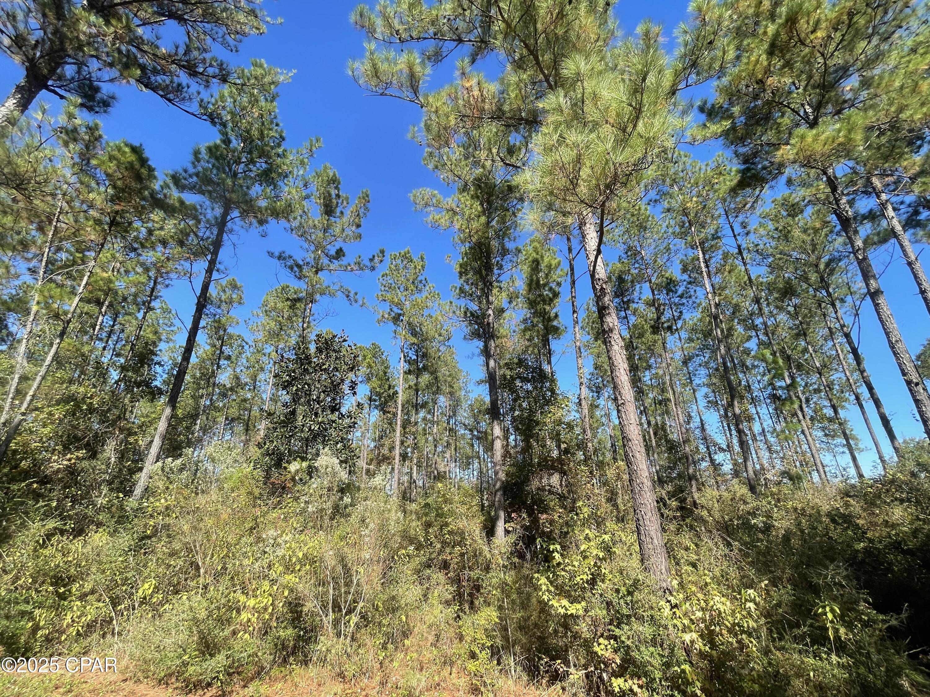 0 Gainer Road Chipley, FL 32428 - Photo 14 of 26