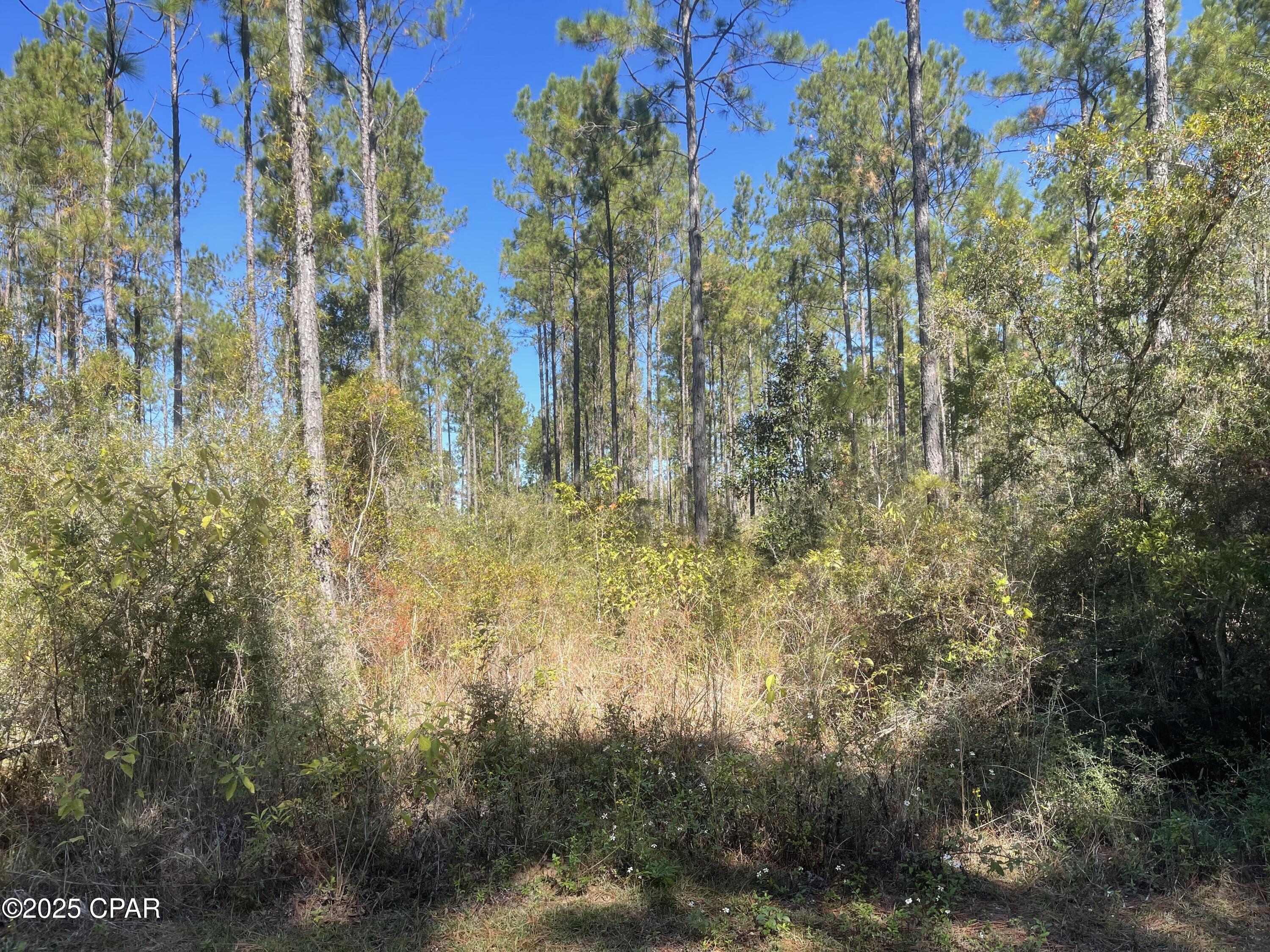 0 Gainer Road Chipley, FL 32428 - Photo 15 of 26