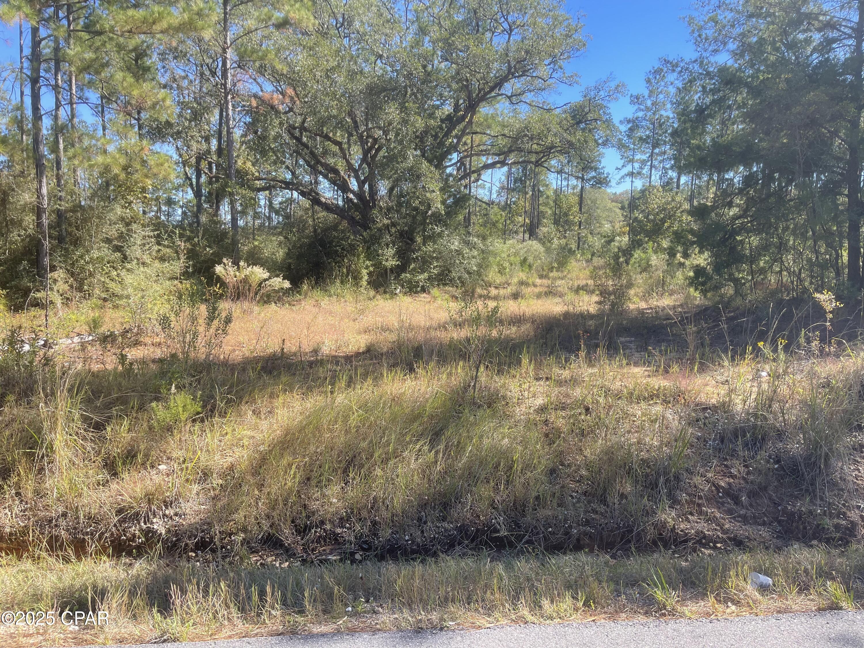 0 Gainer Road Chipley, FL 32428 - Photo 16 of 26