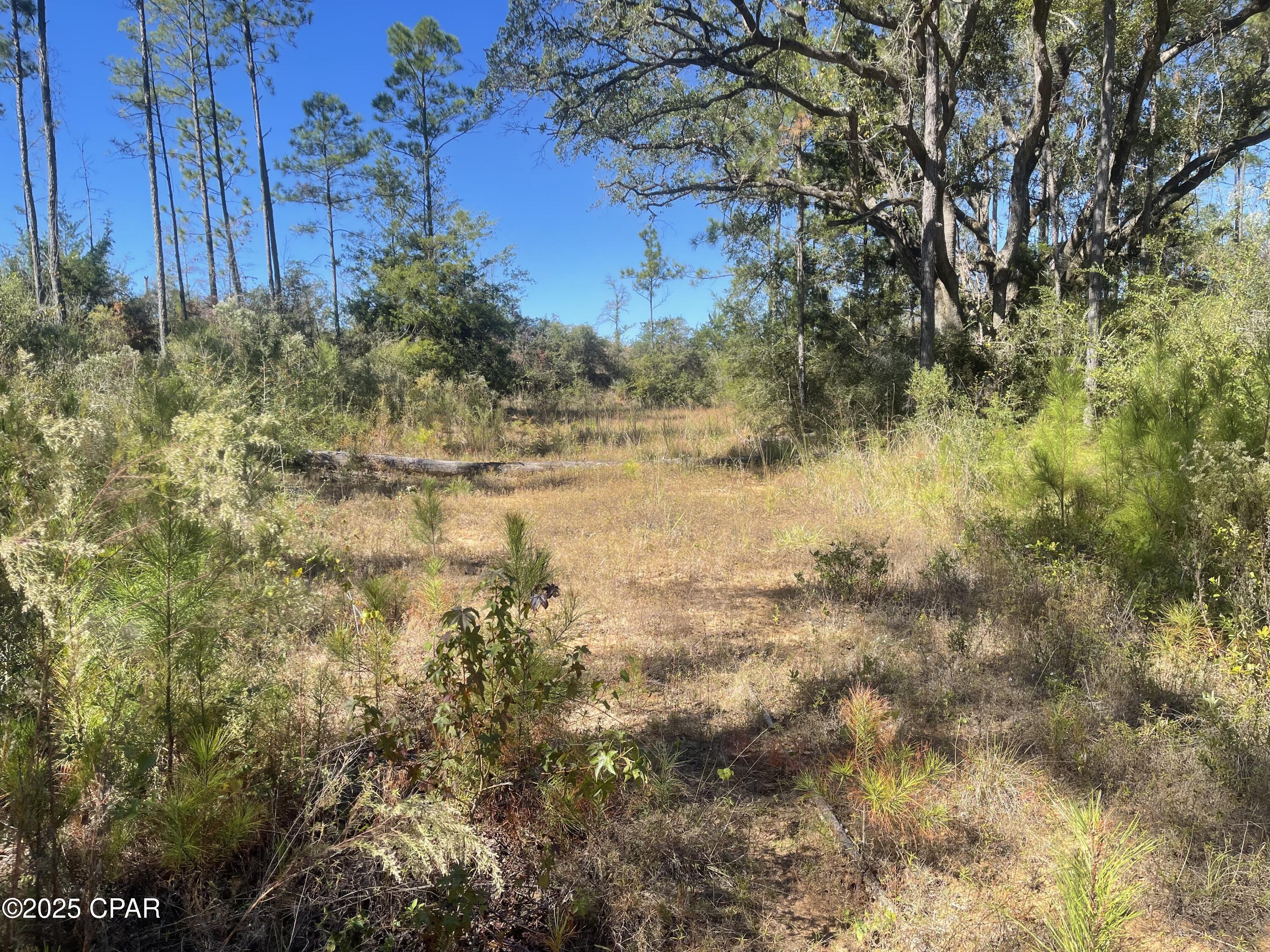 0 Gainer Road Chipley, FL 32428 - Photo 18 of 26