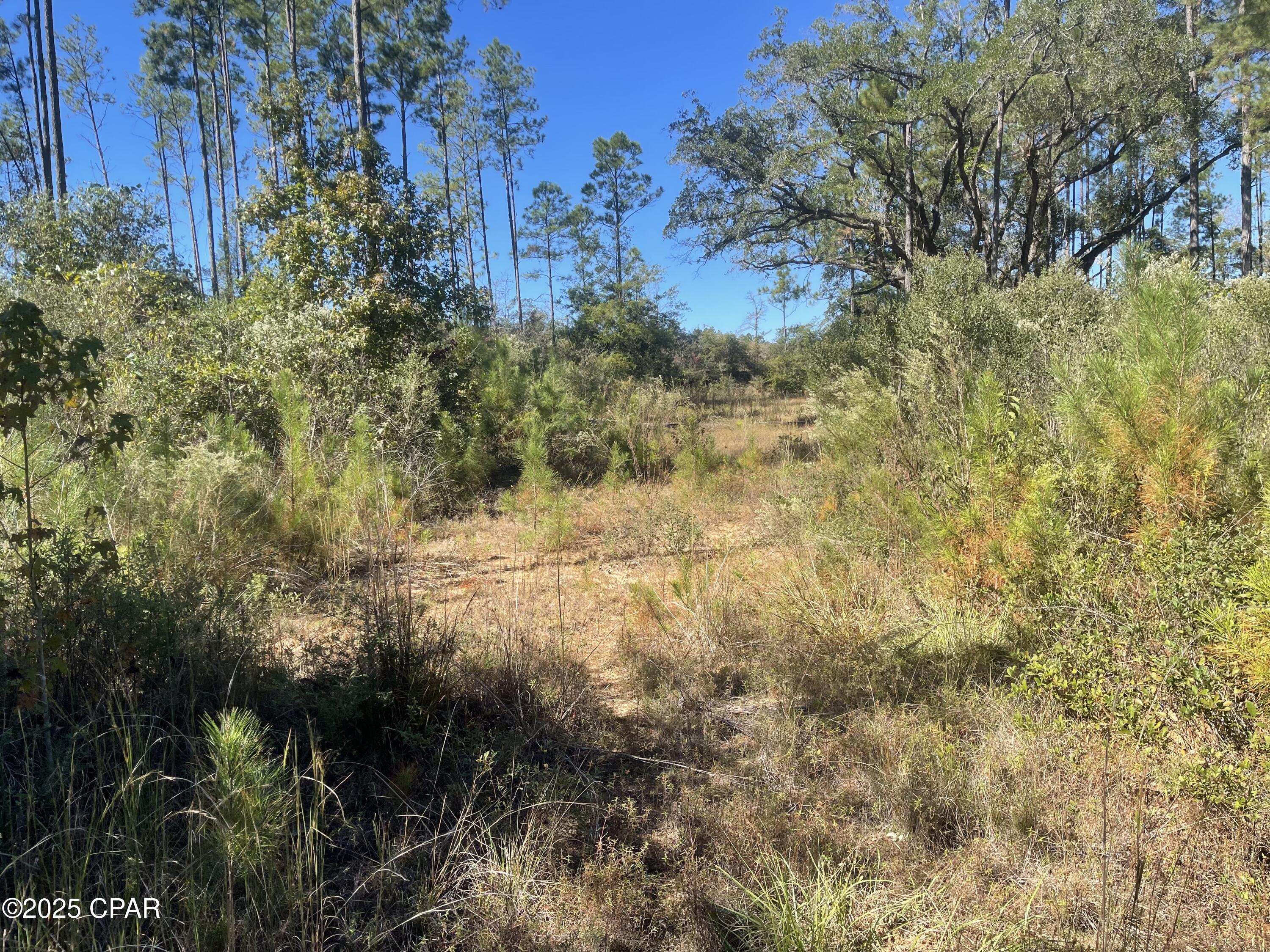 0 Gainer Road Chipley, FL 32428 - Photo 19 of 26