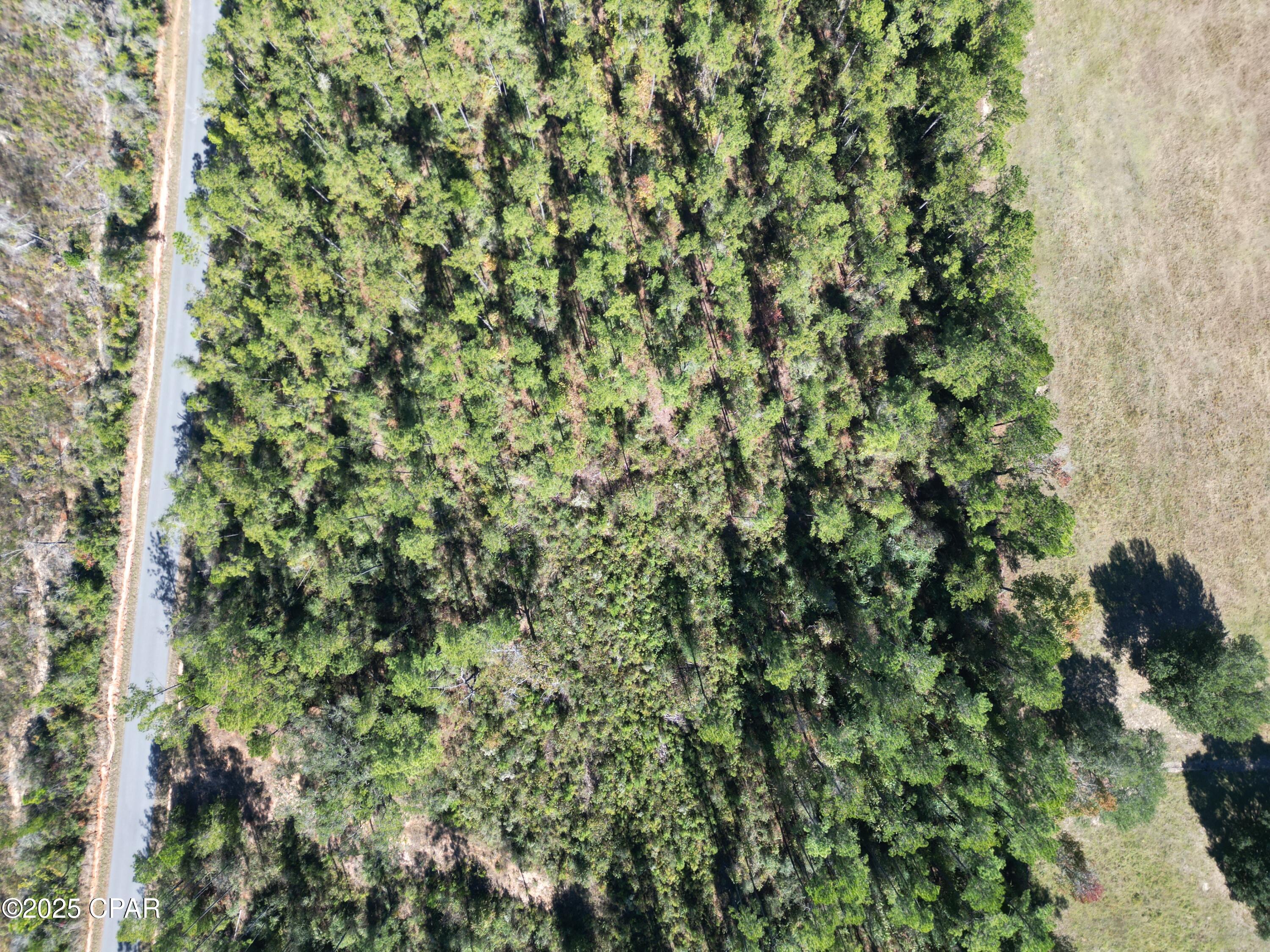 0 Gainer Road Chipley, FL 32428 - Photo 2 of 26