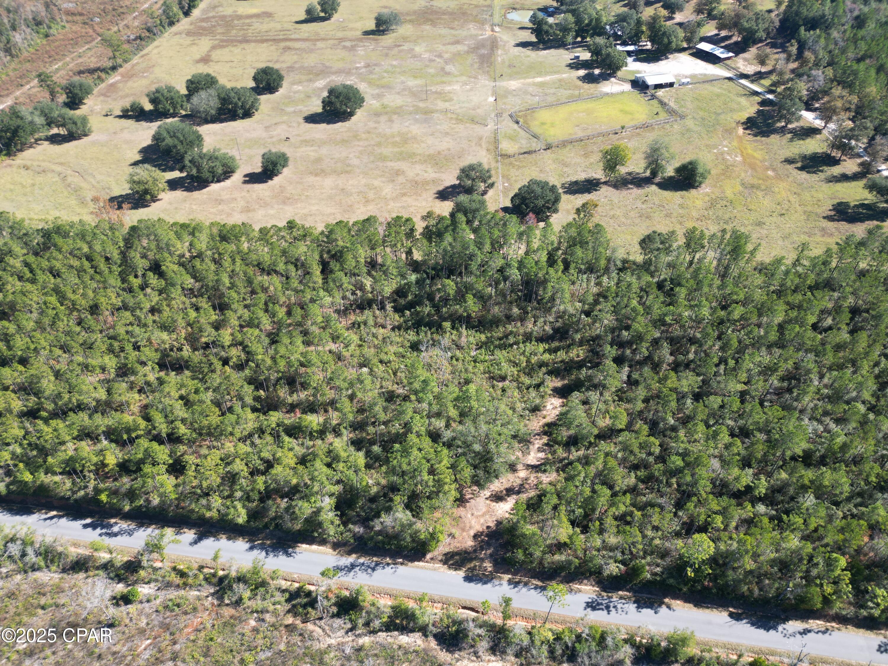 0 Gainer Road Chipley, FL 32428 - Photo 5 of 26