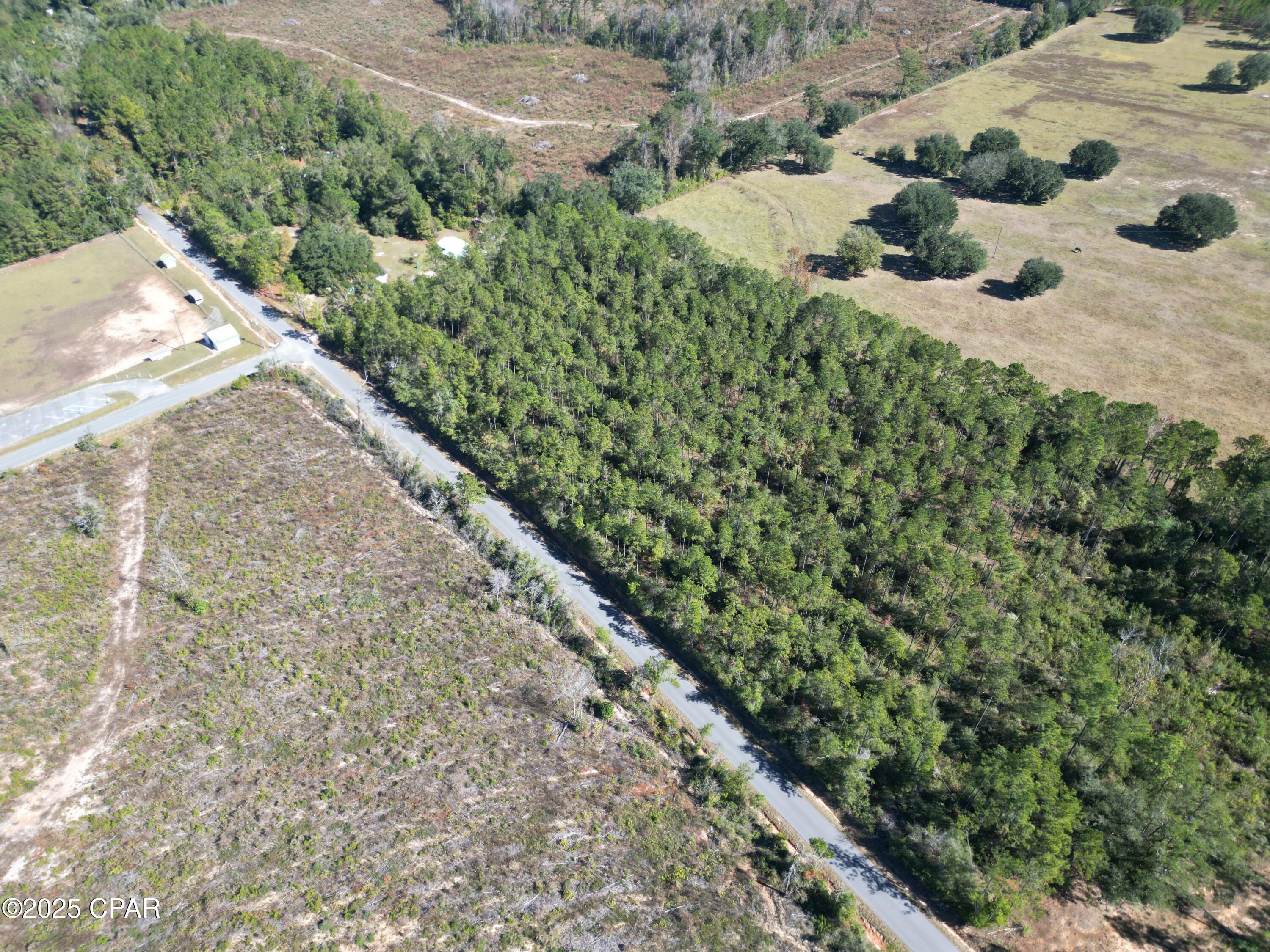 0 Gainer Road Chipley, FL 32428 - Photo 6 of 26