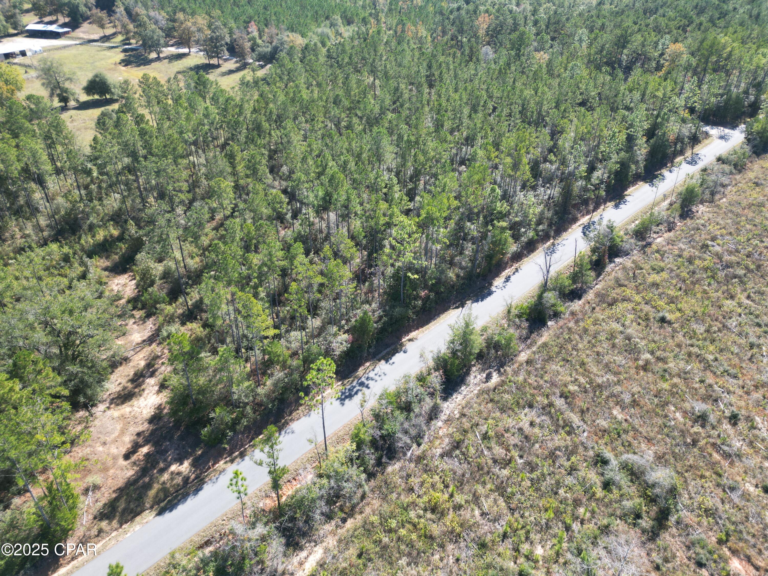 0 Gainer Road Chipley, FL 32428 - Photo 7 of 26