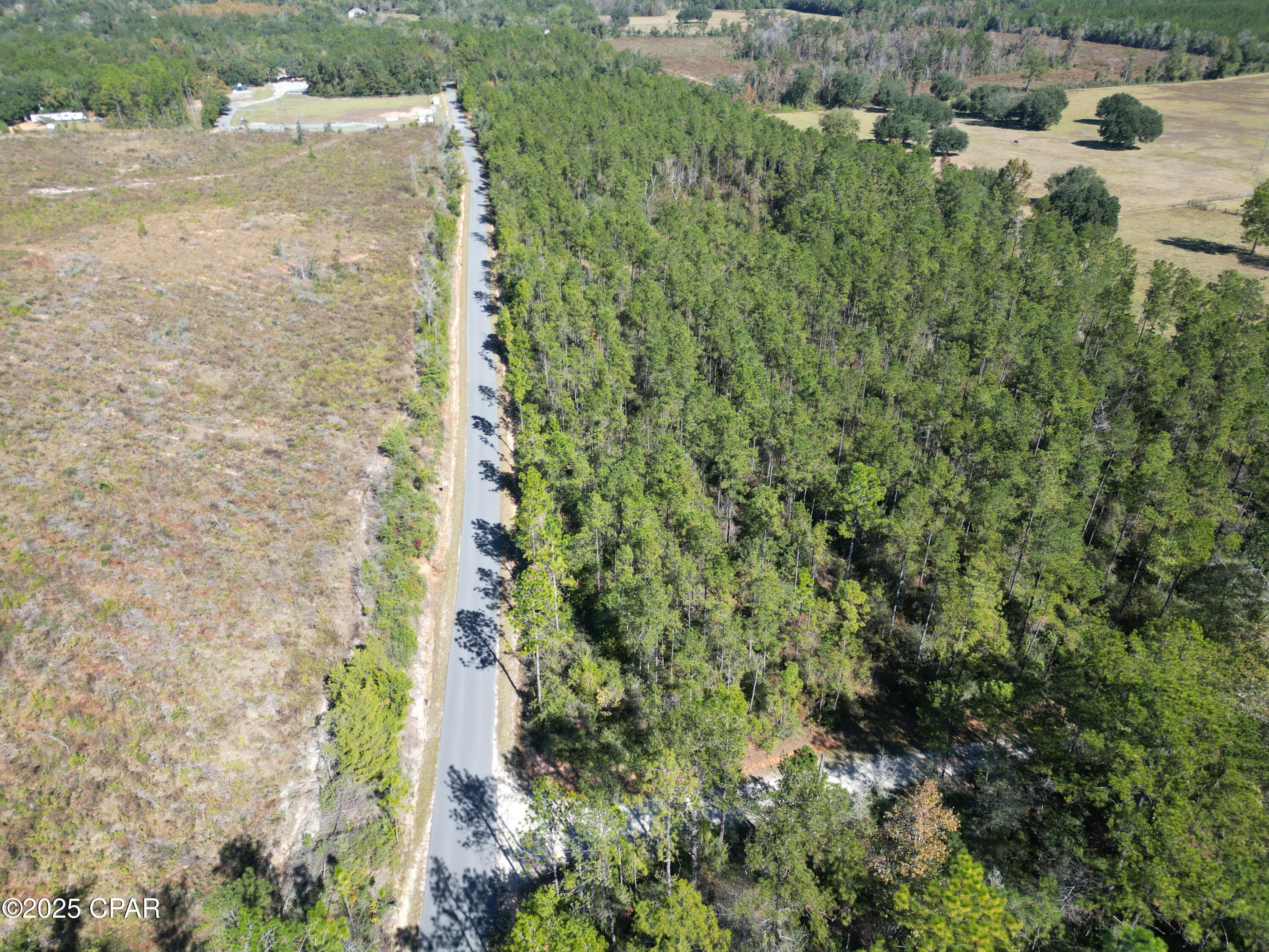 0 Gainer Road Chipley, FL 32428 - Photo 8 of 26