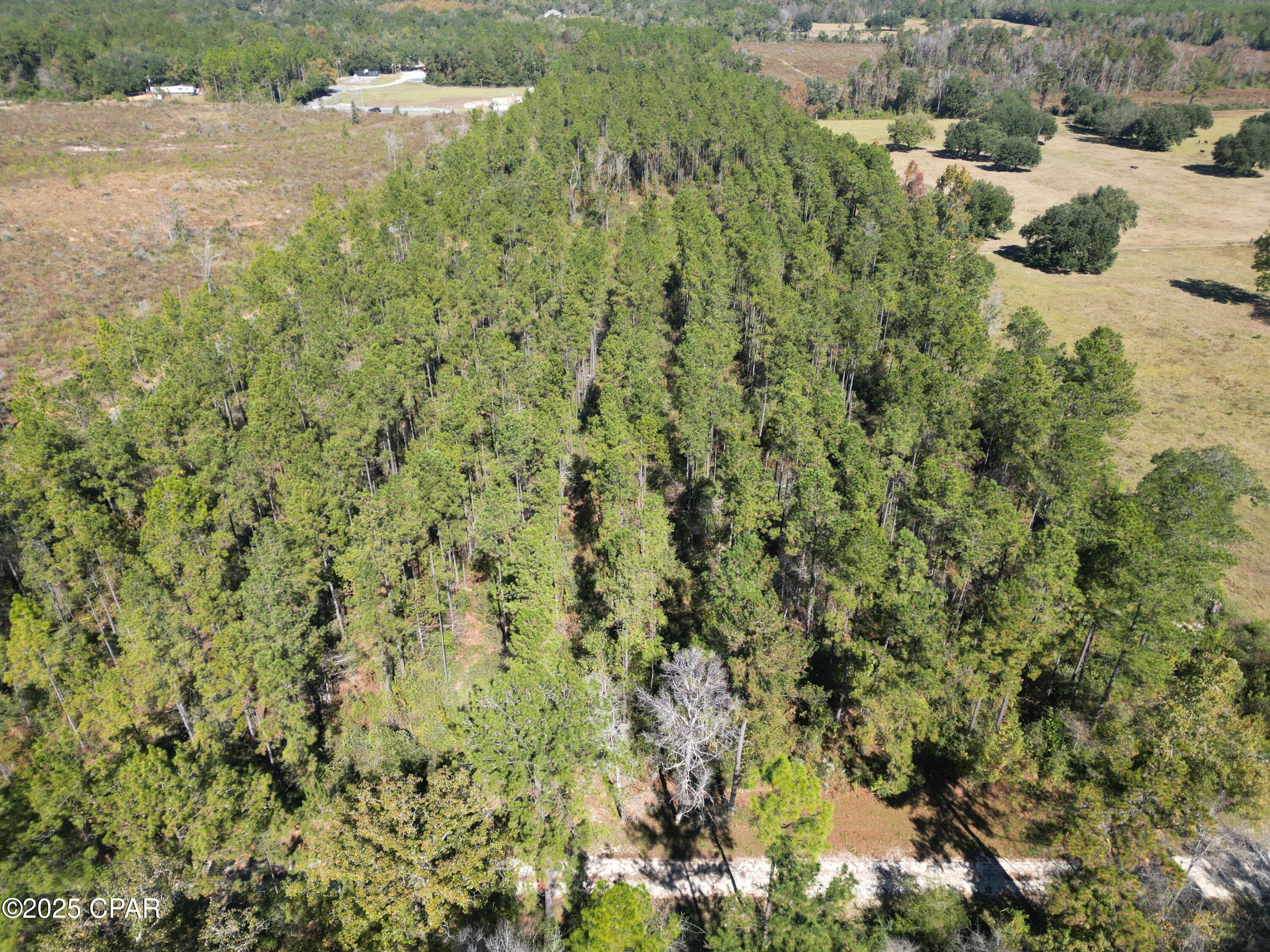 0 Gainer Road Chipley, FL 32428 - Photo 9 of 26