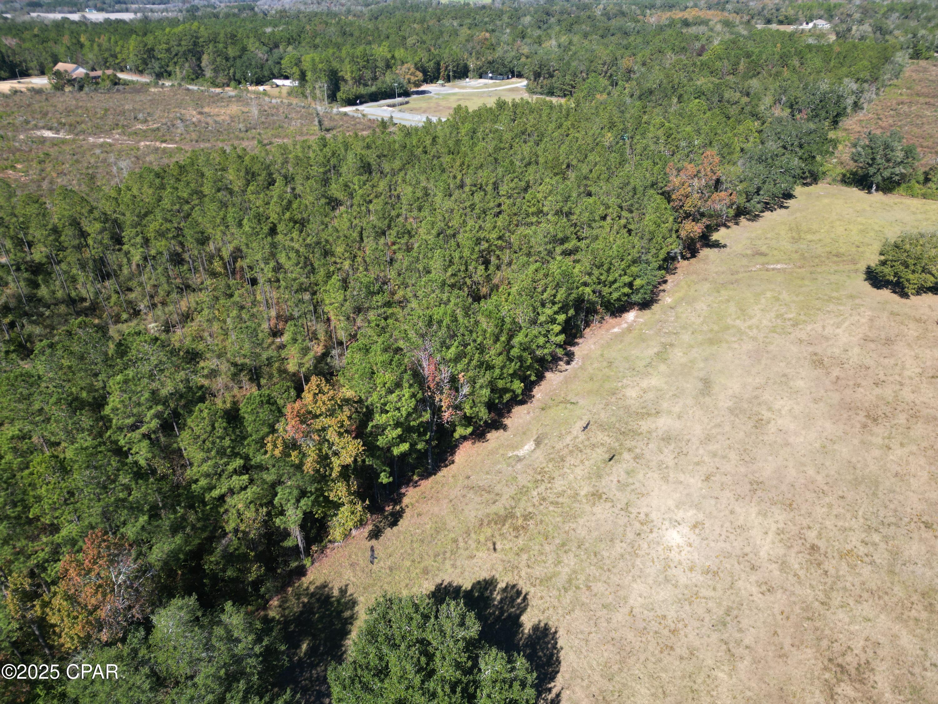 0 Gainer Road Chipley, FL 32428 - Photo 10 of 26