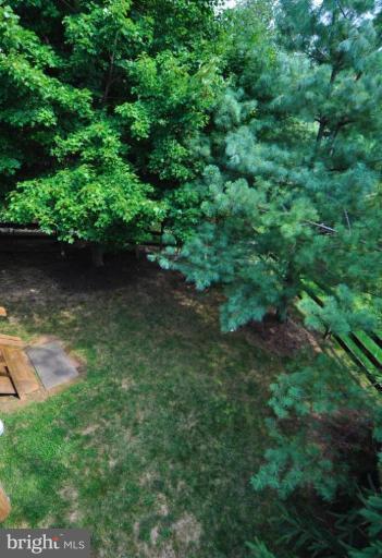 1331 Murray Downs Way Reston, VA 20194 - Photo 25 of 27 Back yard