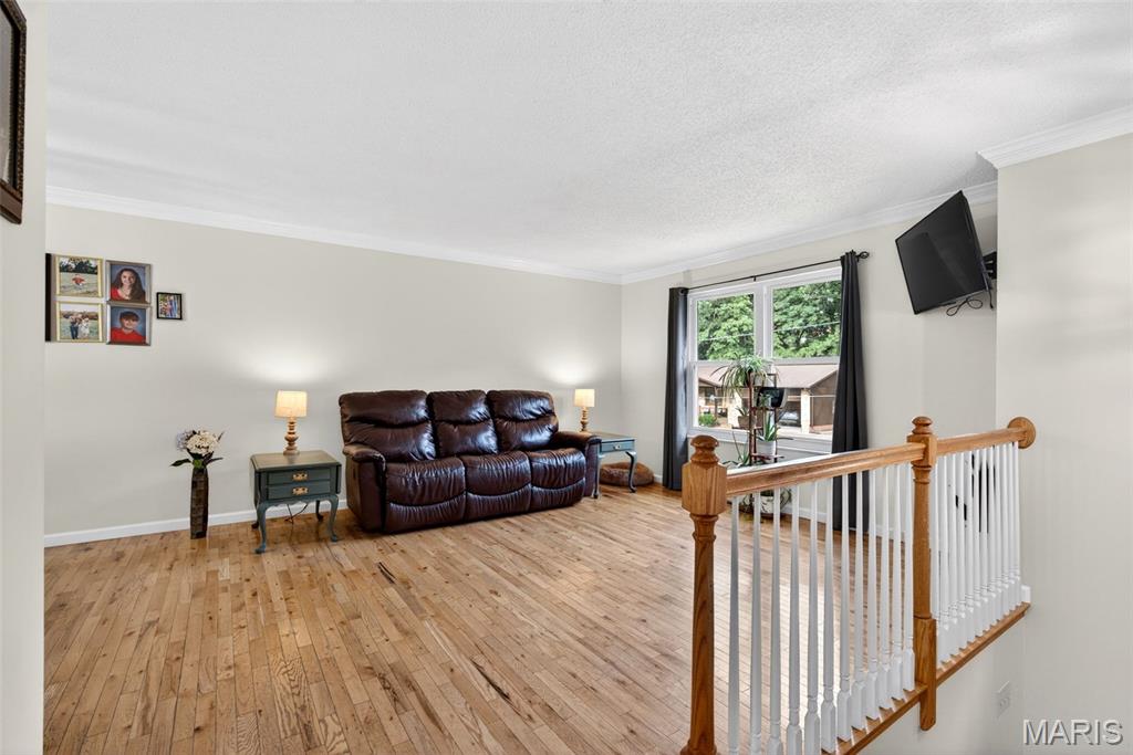 2673 Cathy Ann Drive High Ridge, MO 63049 - Photo 6 of 48
