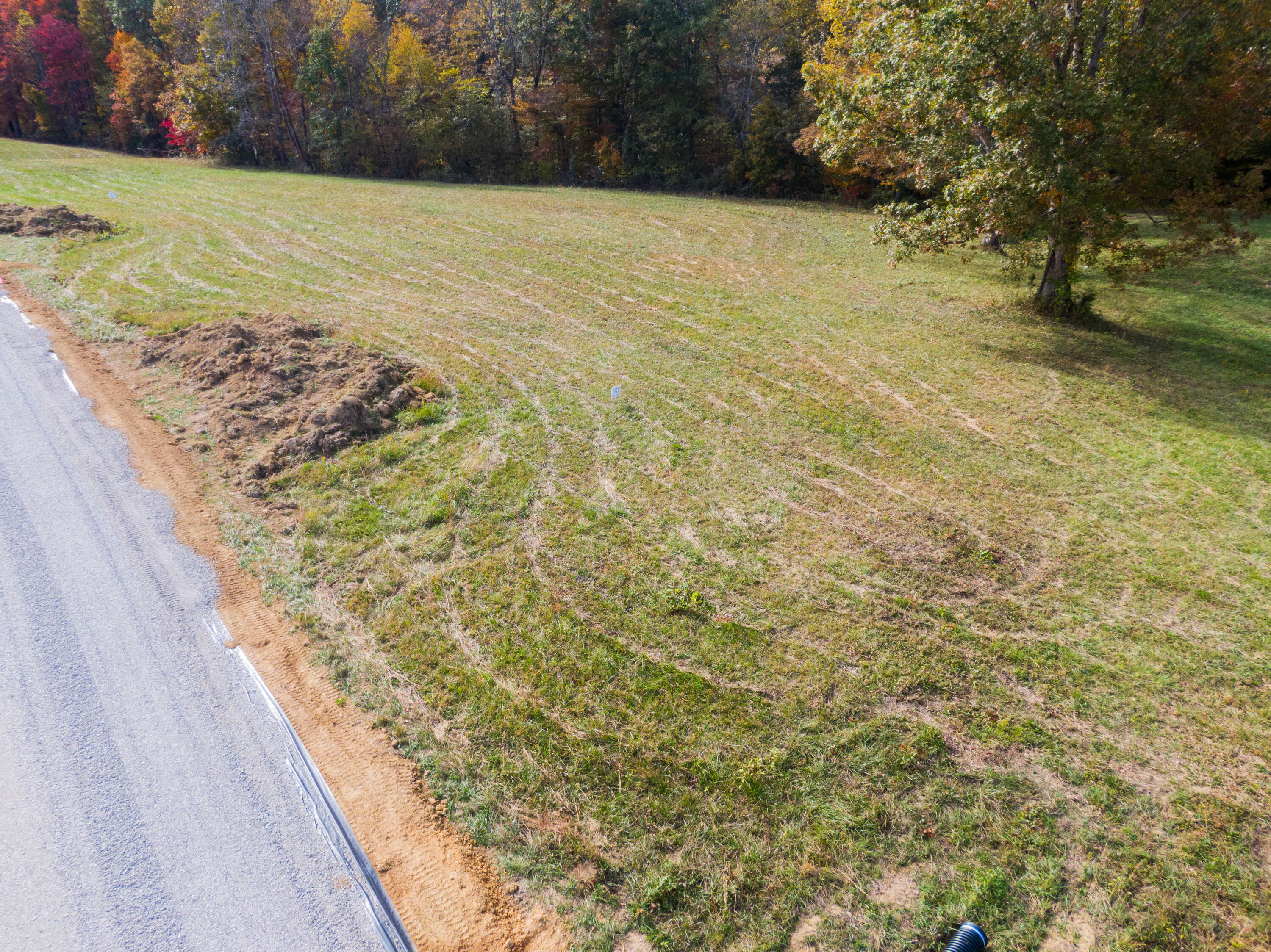 Lot 39 Spring Branch Hollow Road Nancy, KY 42544 - Photo 5 of 6 Nancy Land Photos-14