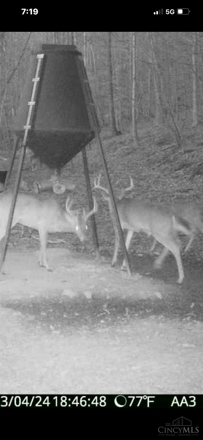5534 State Rte 7 South Gallipolis, OH 45631 - Photo 33 of 75 Gallery Image 33