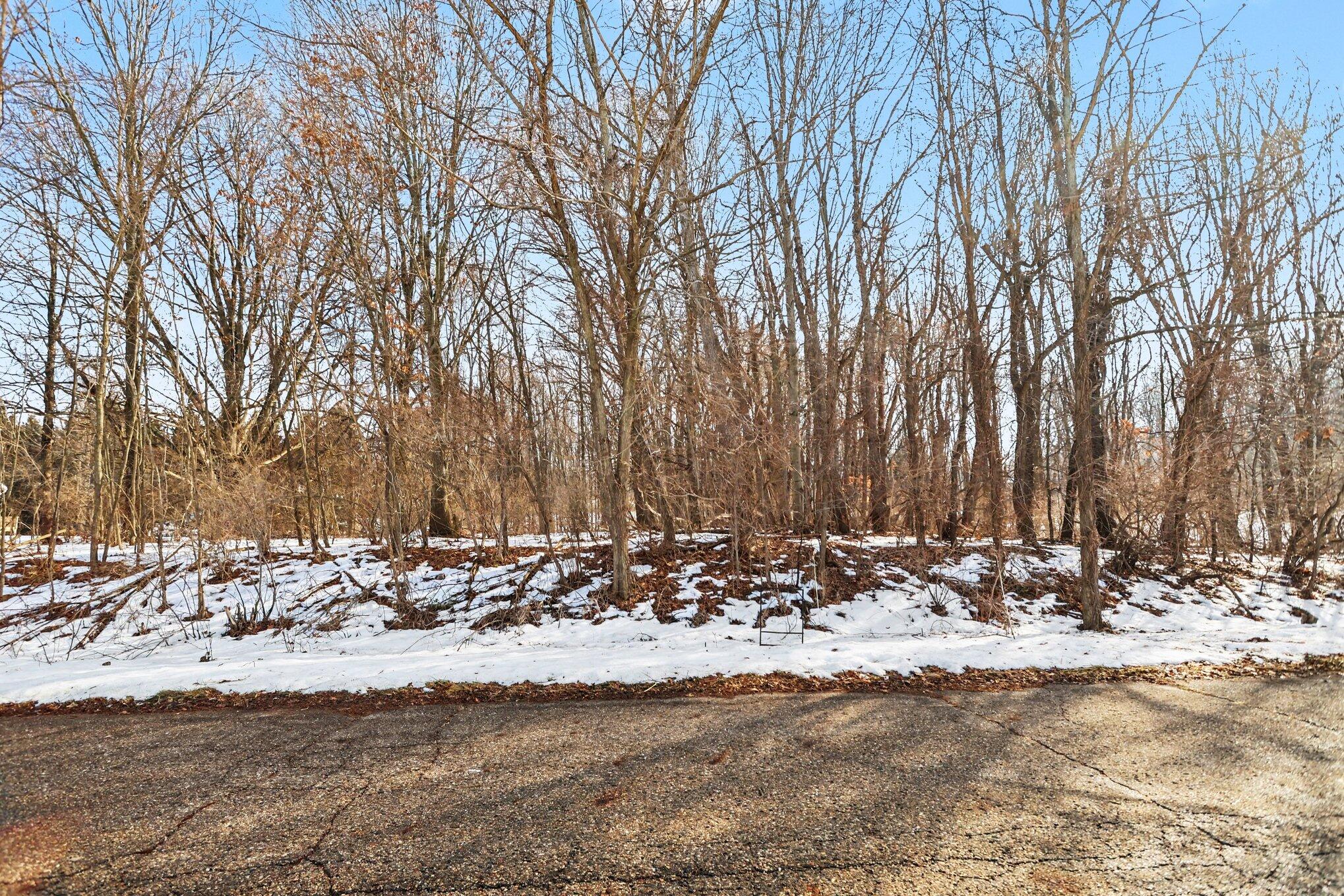 # Garrett Way, Unit 17 Marshall, MI 49068 - Photo 2 of 8 001_file_2206