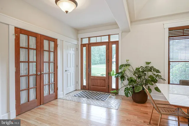 a view of wooden floor and a potted plant in a room