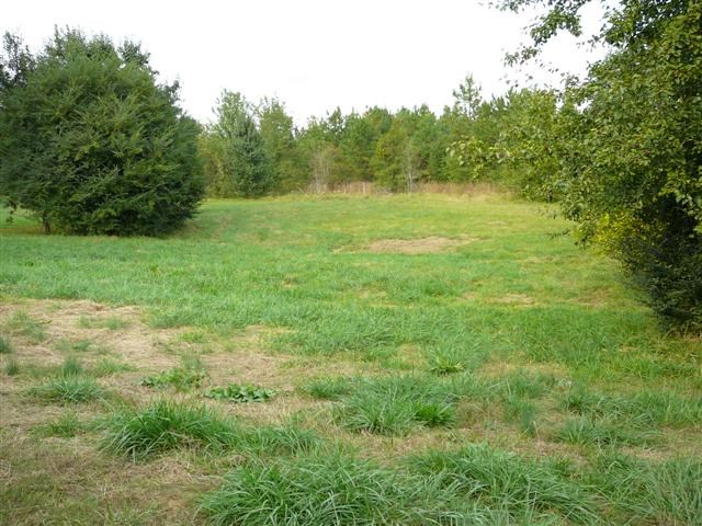 1067 Erskine Road Anderson, SC 29621 - Photo 2 of 15