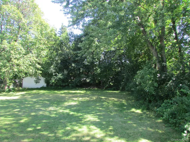 a view of a green field with lots of bushes