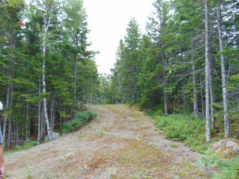 0 Blasket Point Road Milbridge, ME 04658 - Photo 3 of 17 Land.