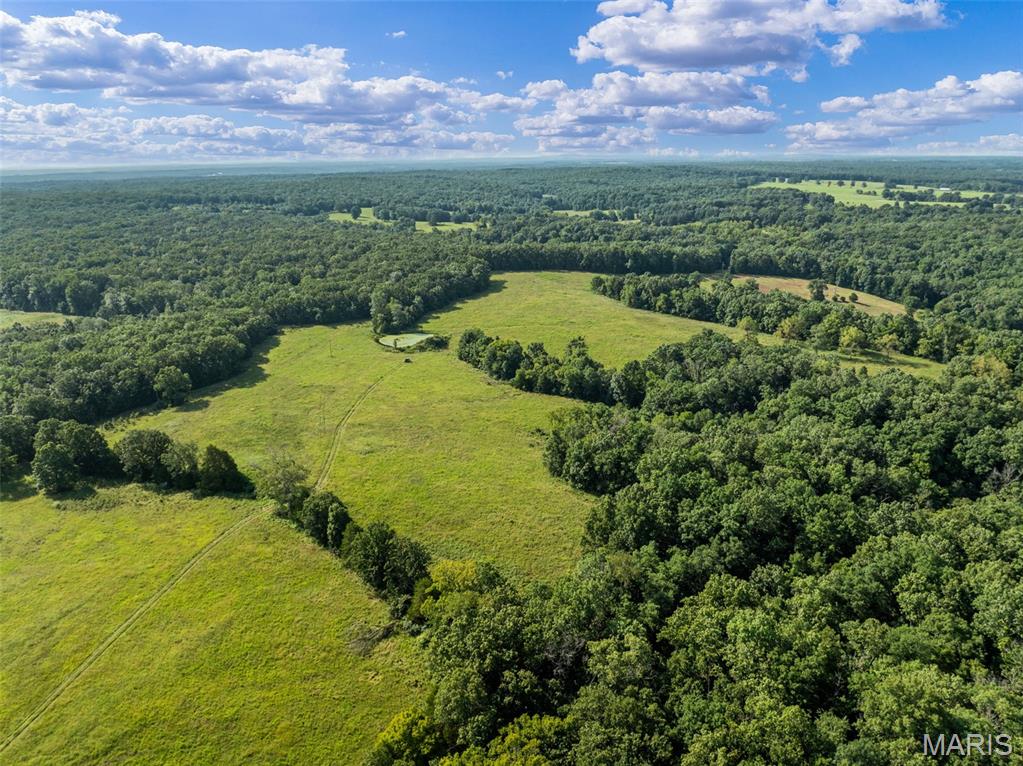 0 Long Spring Road Steelville, MO 65565 - Photo 31 of 42 Gallery Image 31