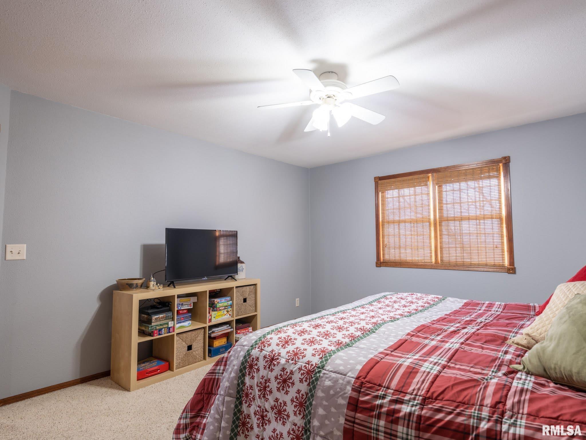29490 Allentown Road Mackinaw, IL 61755 - Photo 49 of 90 Gallery Image 49