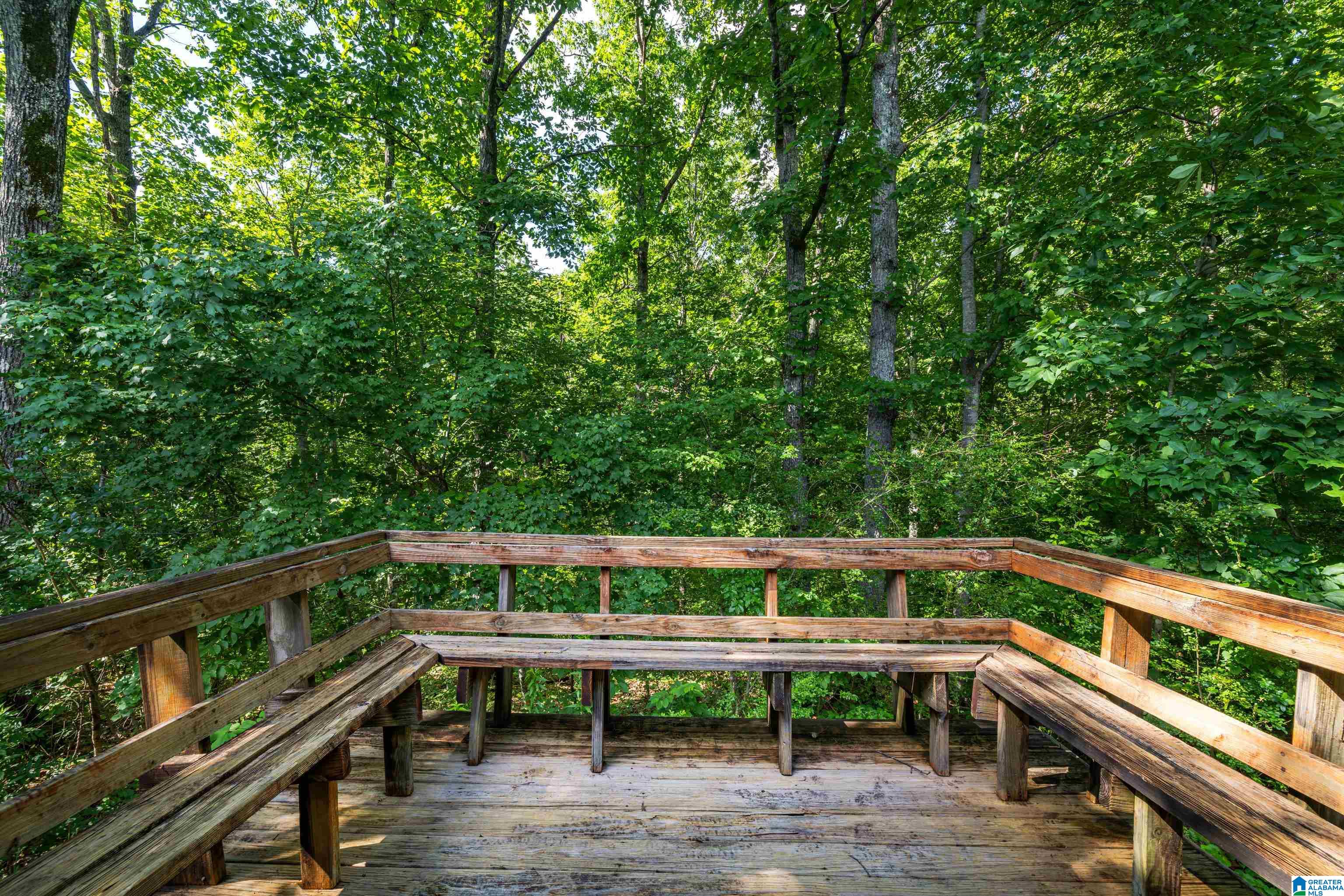 650 Davidson Drive Locust Fork, AL 35097 - Photo 36 of 55