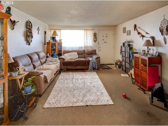 4847-4849 Elderberry Loop Springfield, OR 97478 - Photo 23 of 23 a living room with furniture rug and window