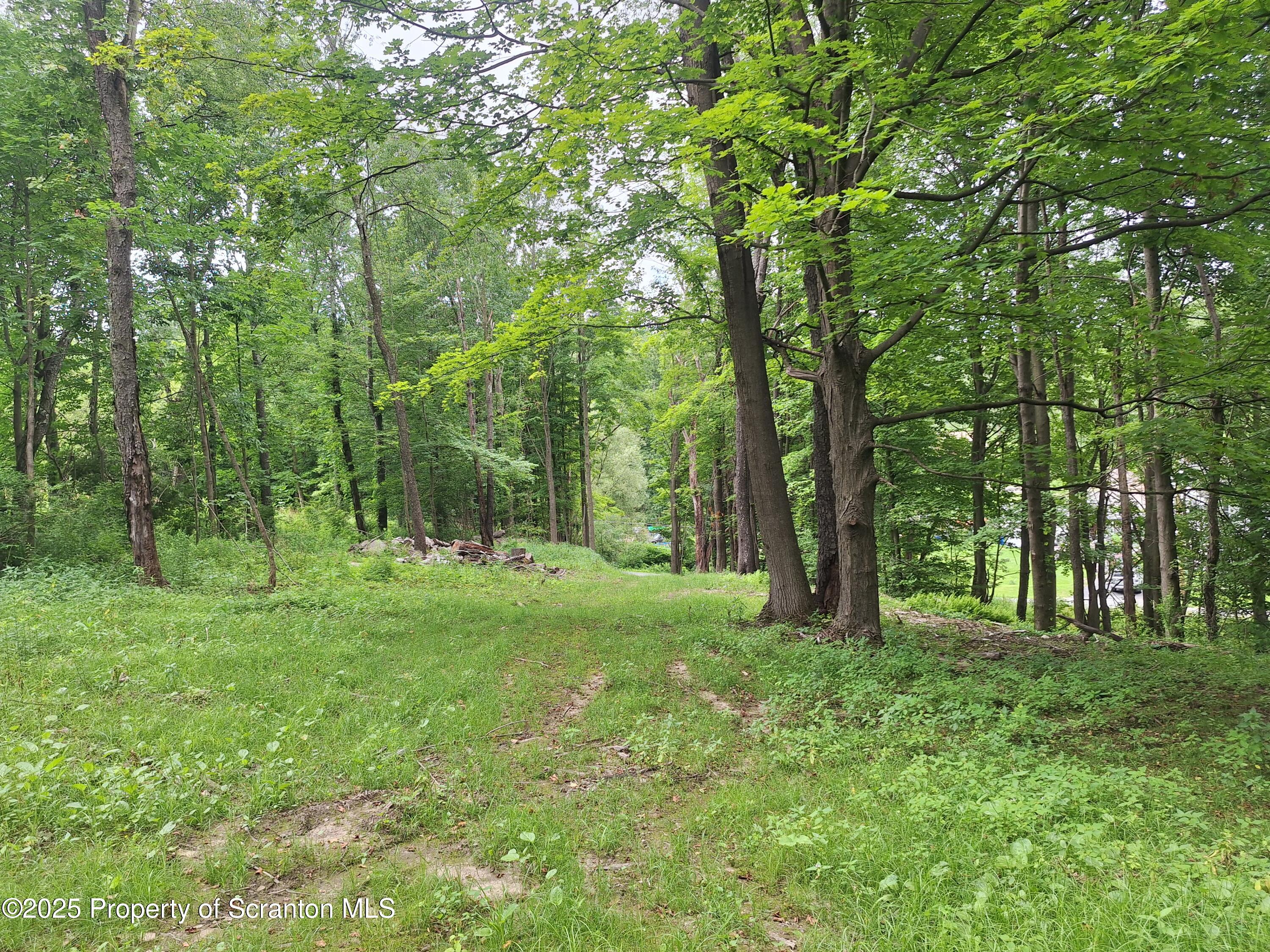 Ackerly Road Clarks Summit, PA 18411 - Photo 8 of 8 a view of a lush green space