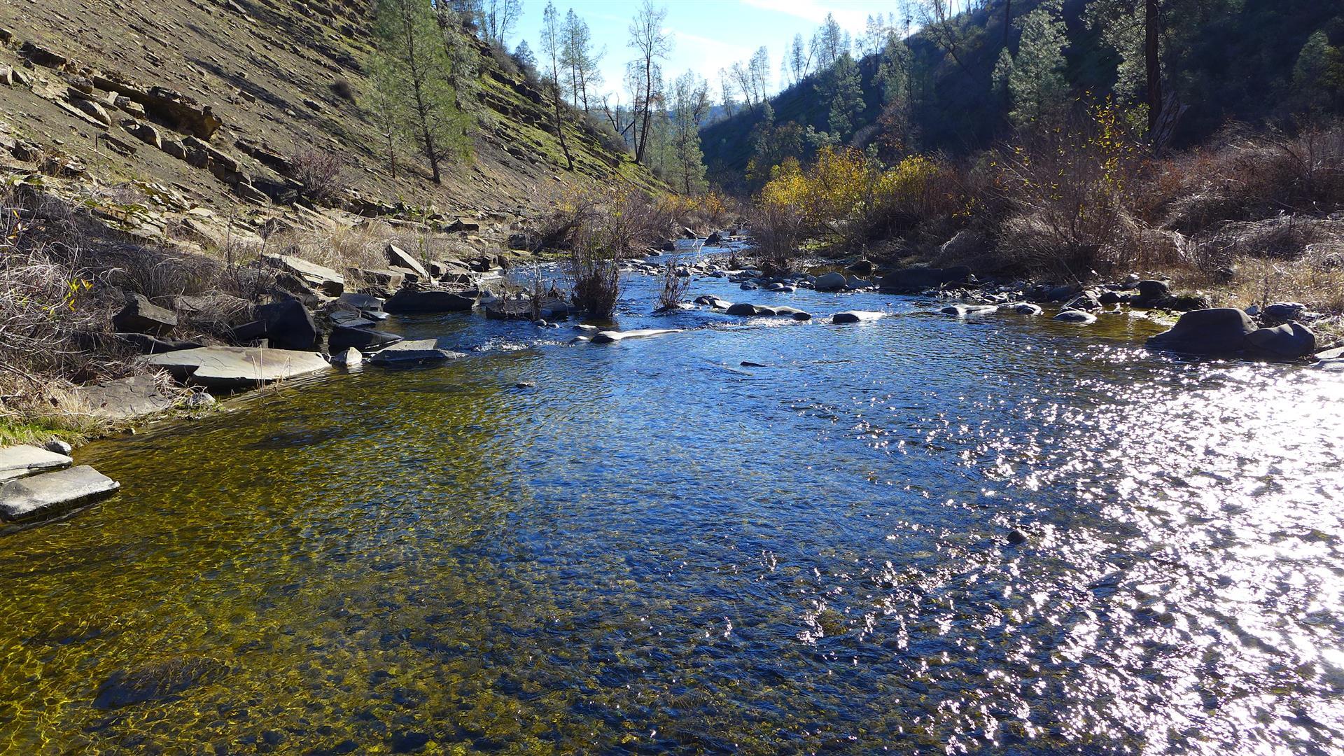 Lot 229 Yolla Bolly Road Igo, CA 96047 - Photo 41 of 66 4