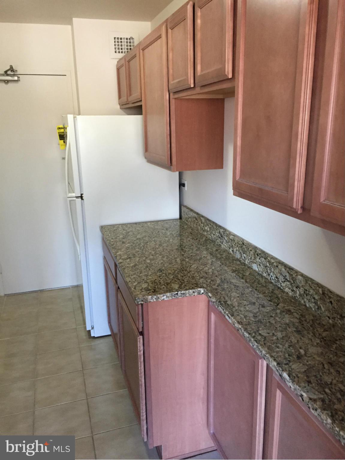 1900 Lyttonsville Road, Unit 818 Silver Spring, MD 20910 - Photo 3 of 12 Kitchen