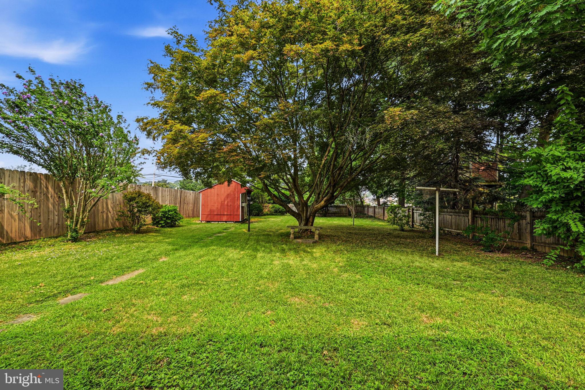 428 Prospect Road Springfield, PA 19064 - Photo 27 of 28 Spacious backyard with lush greenery.