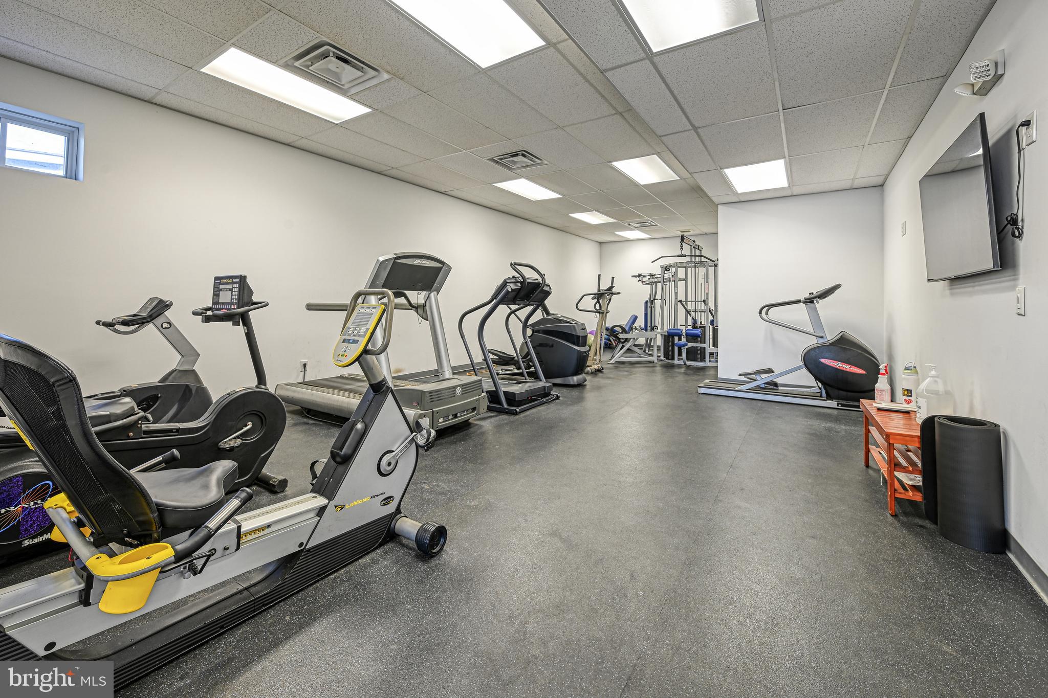 287 Sunset Loop Mineral, VA 23117 - Photo 85 of 112 a view of a room with gym equipment