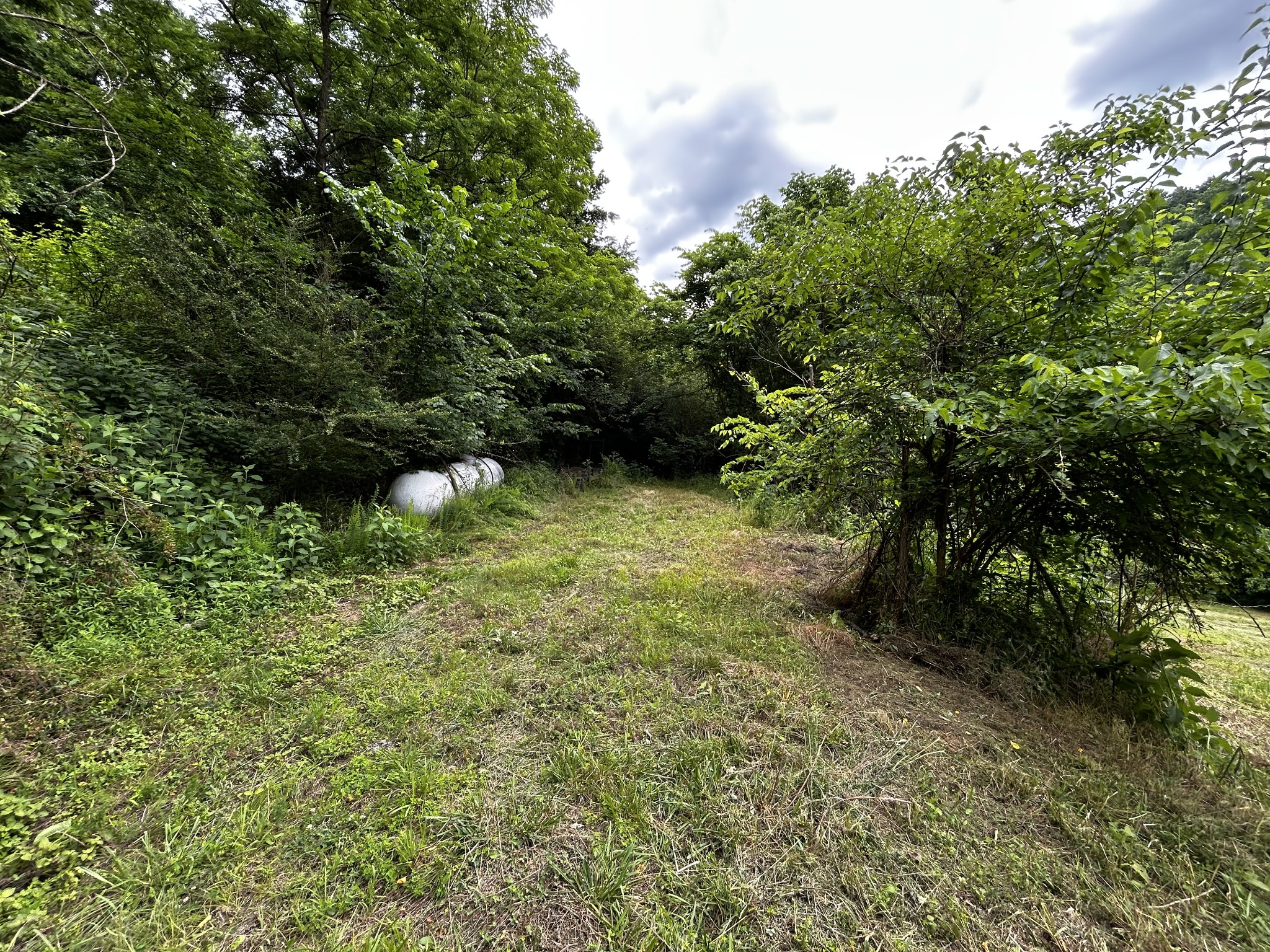 98 Hackett Valley Road Hickman, TN 38567 - Photo 34 of 41