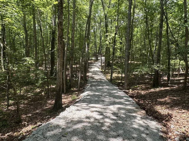 a view of a pathway of a yard