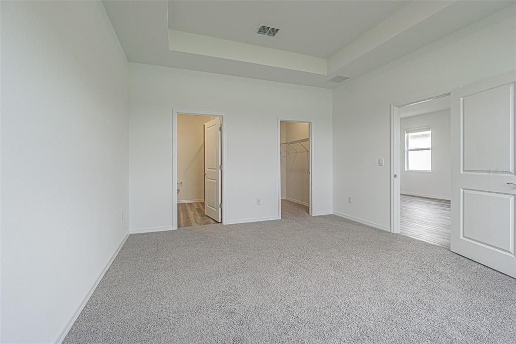 31415 Paper Birch Street Wesley Chapel, FL 33545 - Photo 15 of 29 an empty room with windows