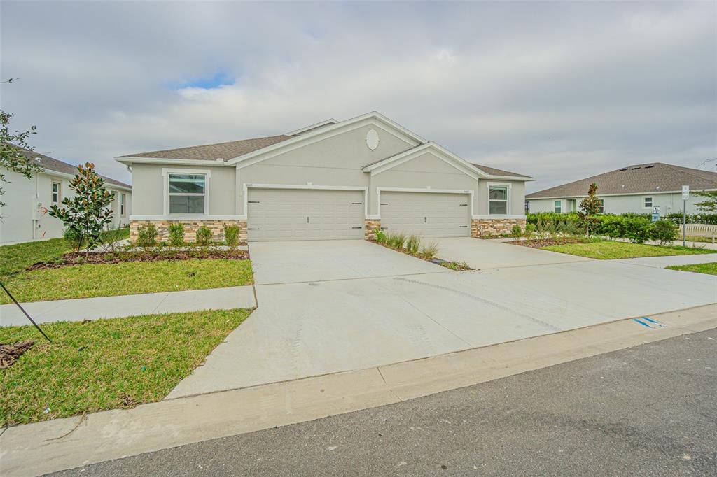 31415 Paper Birch Street Wesley Chapel, FL 33545 - Photo 28 of 29 a view of a house with a yard and potted plants