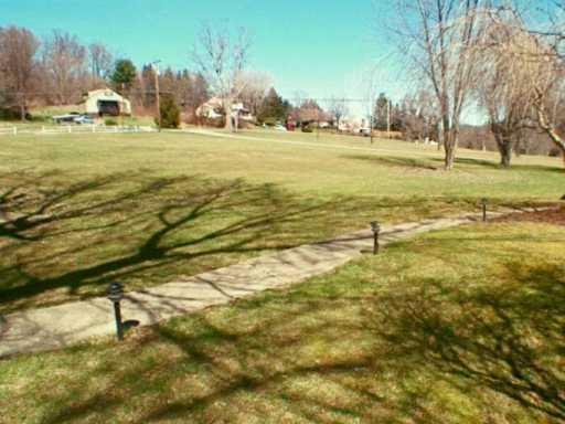 Yard/Garden. 
