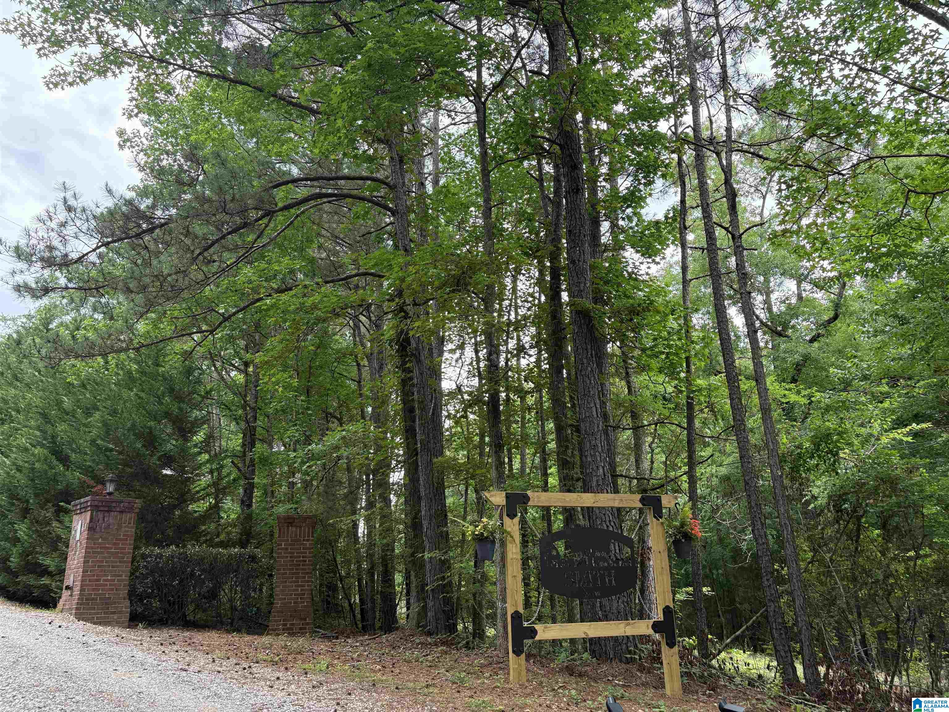 1322 Mitchellville Road Ohatchee, AL 36271 - Photo 4 of 51