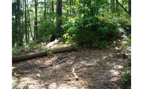 11 B Prospectors Road Blairsville, GA 30512 - Photo 4 of 4 Additional View