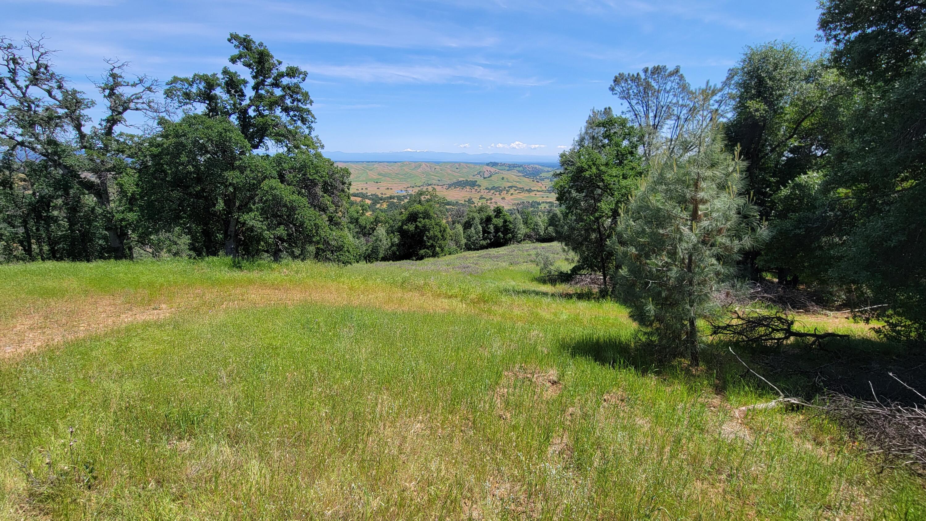 Lot 44 Jennifer Road Igo, CA 96047 - Photo 12 of 28 a view of lake background with houses