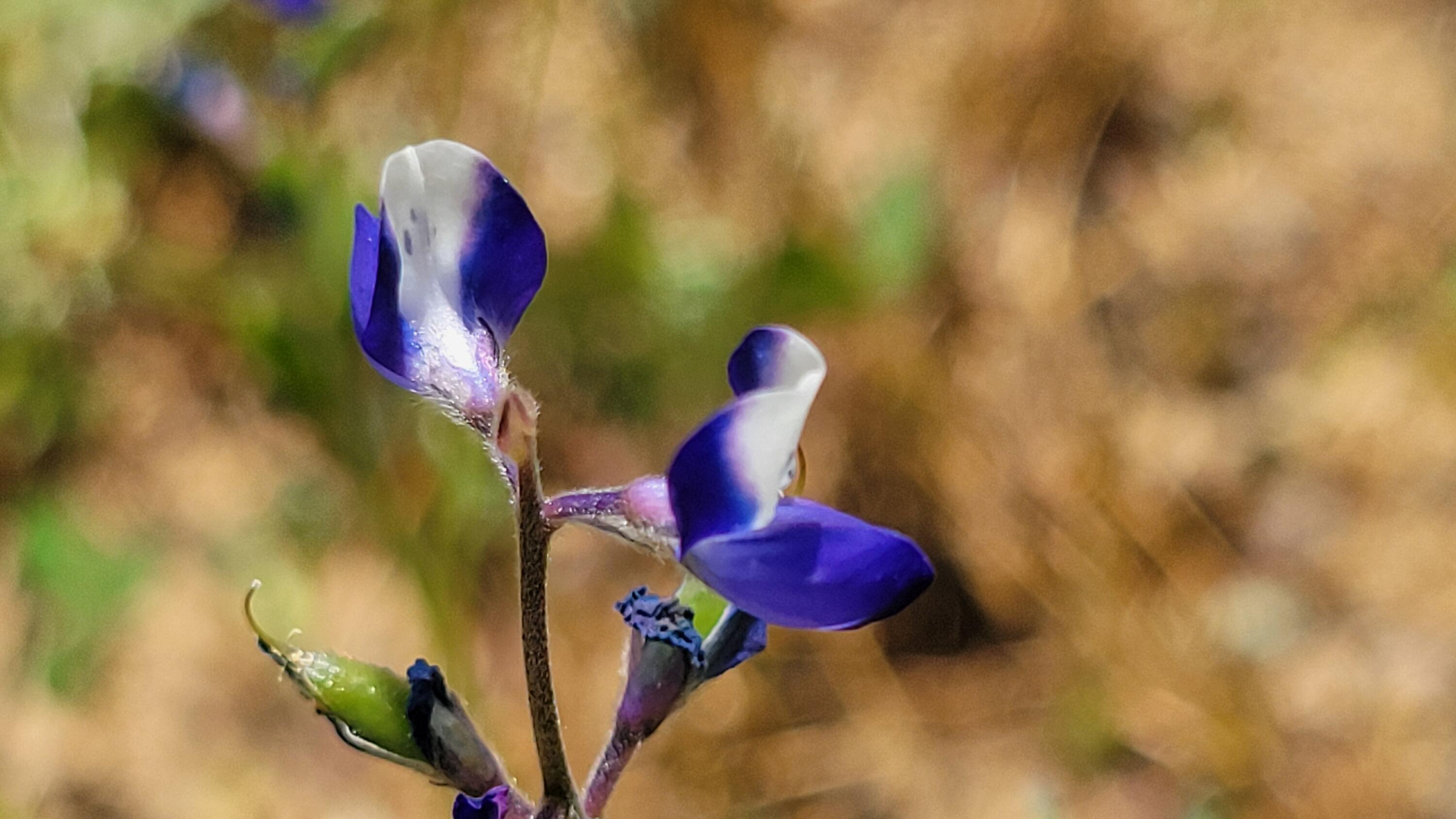 Lot 44 Jennifer Road Igo, CA 96047 - Photo 16 of 28 a bathroom with a sink