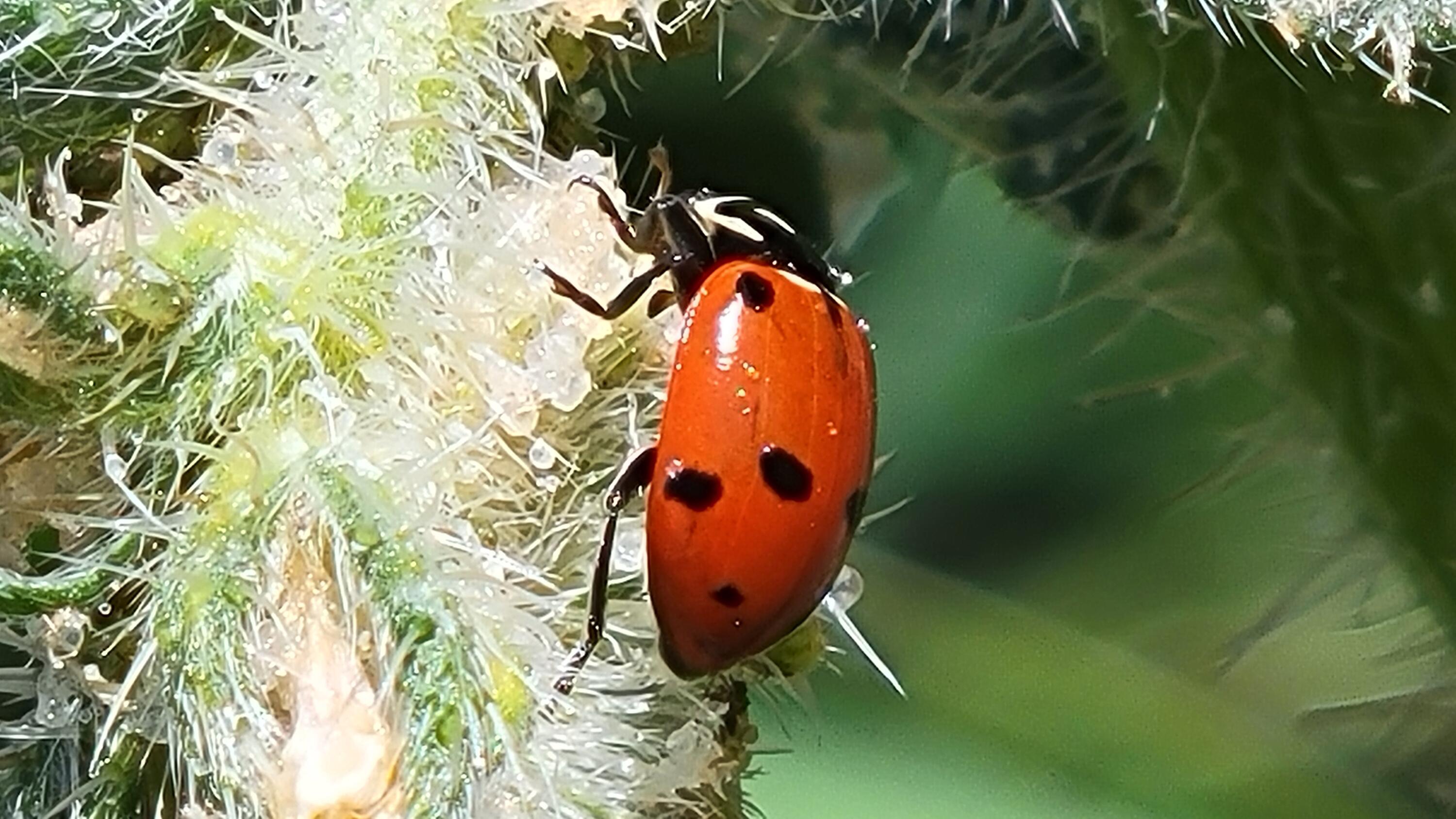Lot 44 Jennifer Road Igo, CA 96047 - Photo 22 of 28 a view of a swimming pool and outside space