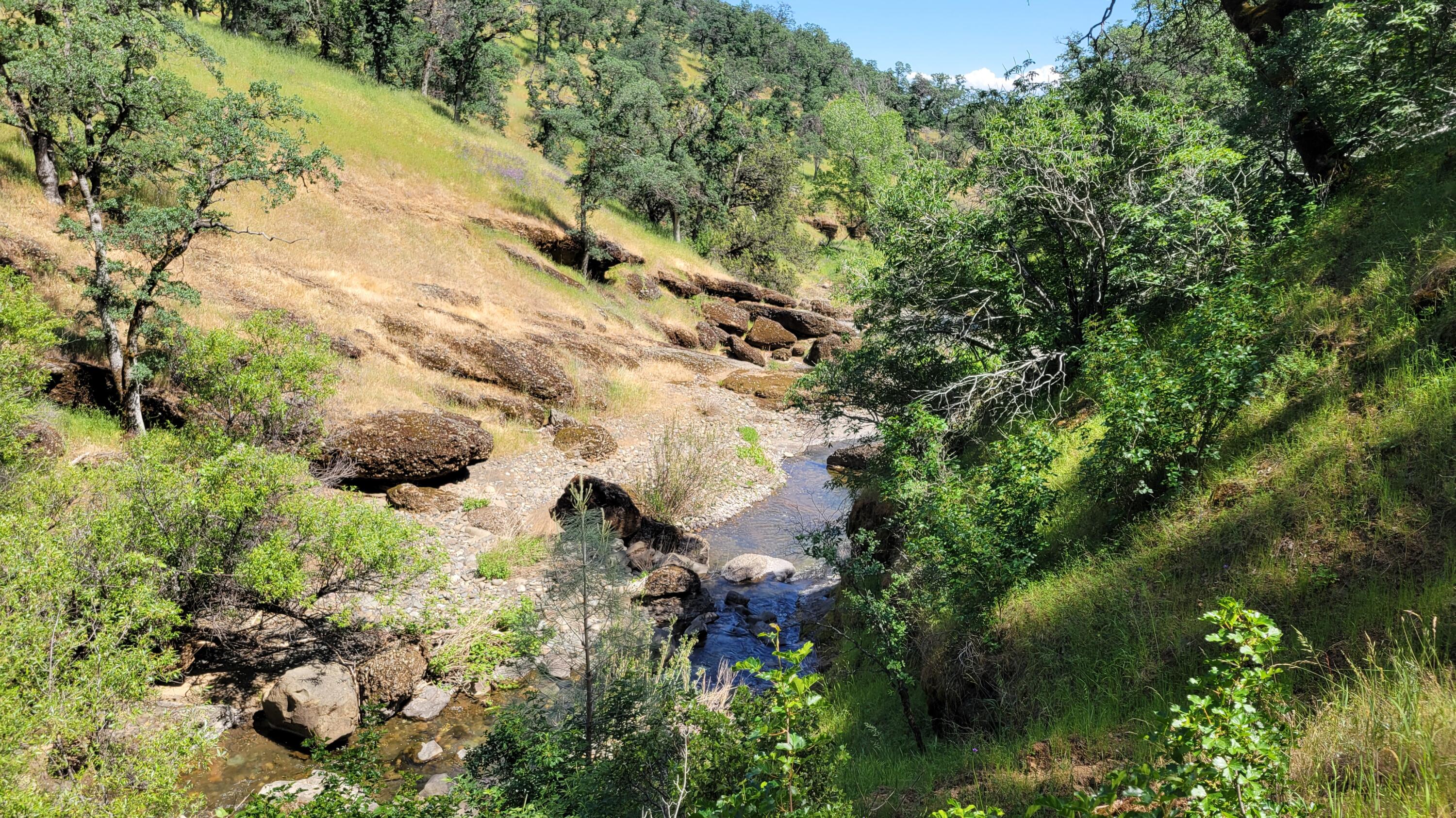 Lot 44 Jennifer Road Igo, CA 96047 - Photo 23 of 28 a view of a forest with a tree