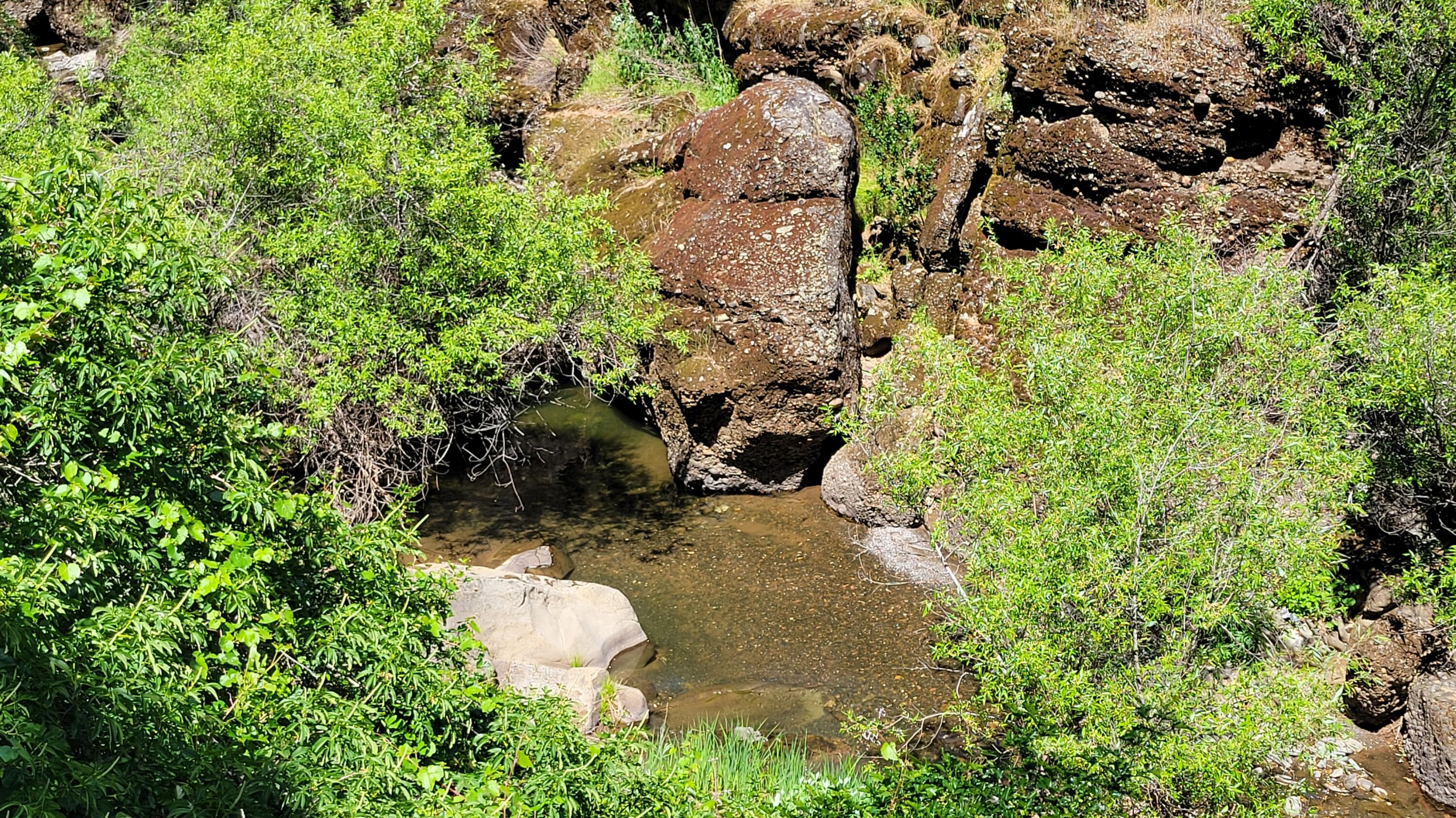 Lot 44 Jennifer Road Igo, CA 96047 - Photo 24 of 28 a backyard of a house with a yard and outdoor seating