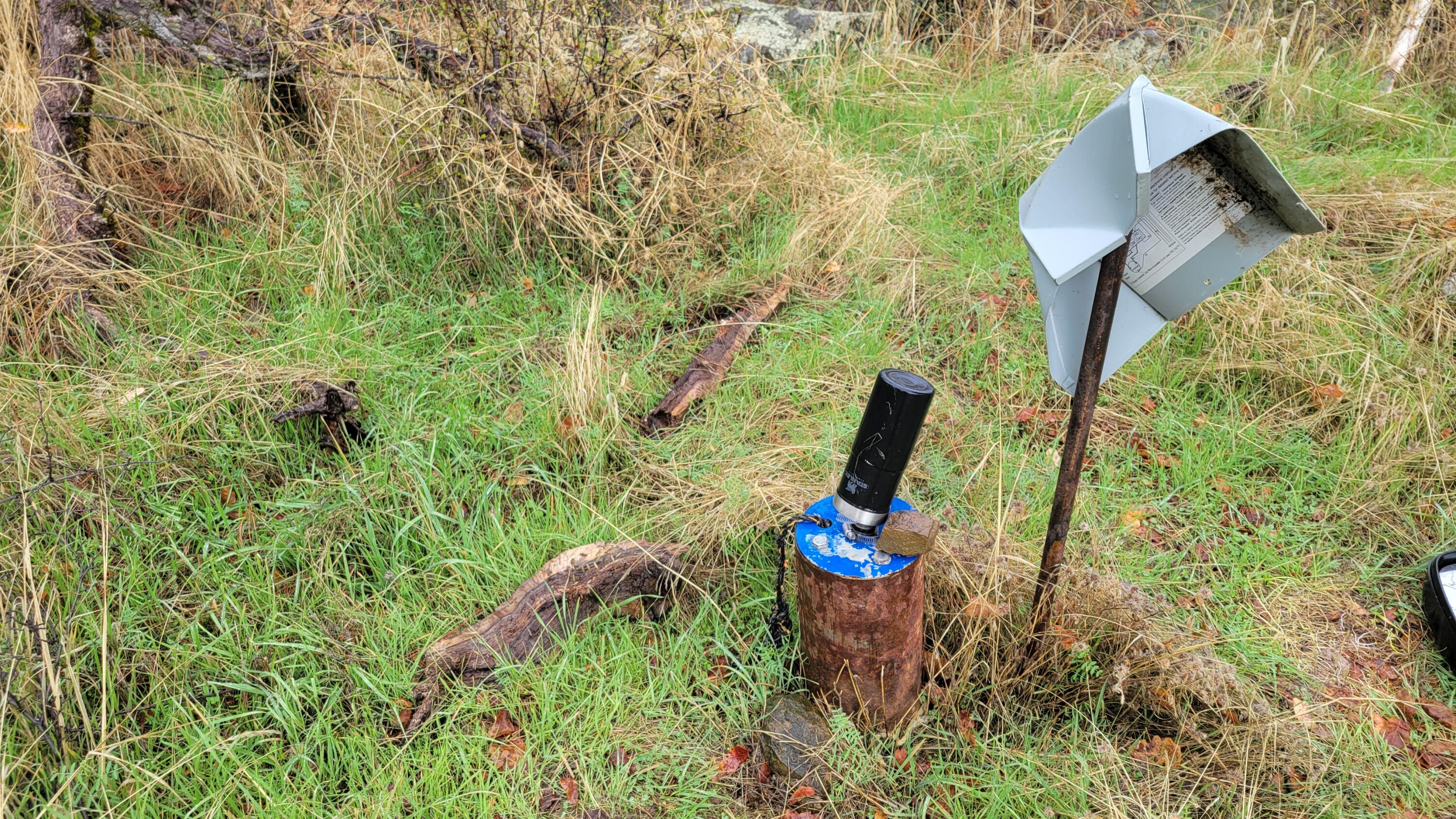 Lot 44 Jennifer Road Igo, CA 96047 - Photo 25 of 28 a view of yard along with trees