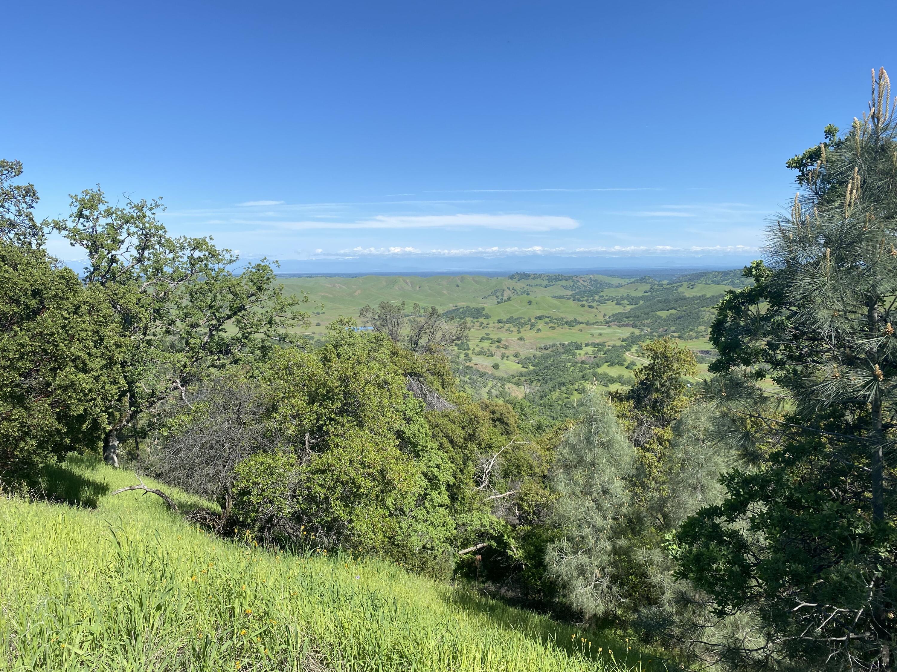 Lot 44 Jennifer Road Igo, CA 96047 - Photo 26 of 28 a view of yard with green space