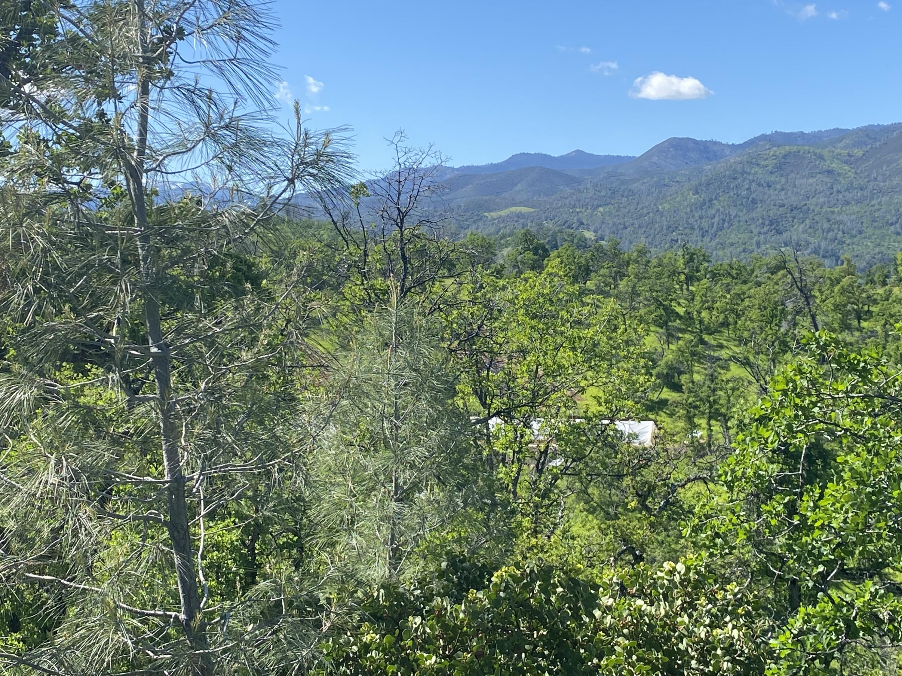 Lot 44 Jennifer Road Igo, CA 96047 - Photo 28 of 28 a view of a lush green forest with mountains in the background