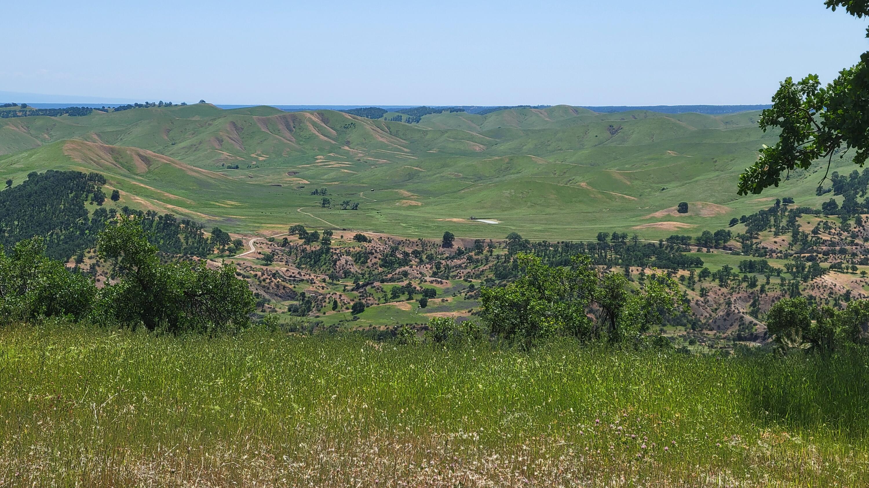 Lot 44 Jennifer Road Igo, CA 96047 - Photo 5 of 28 a view of a lush green forest with lots of trees