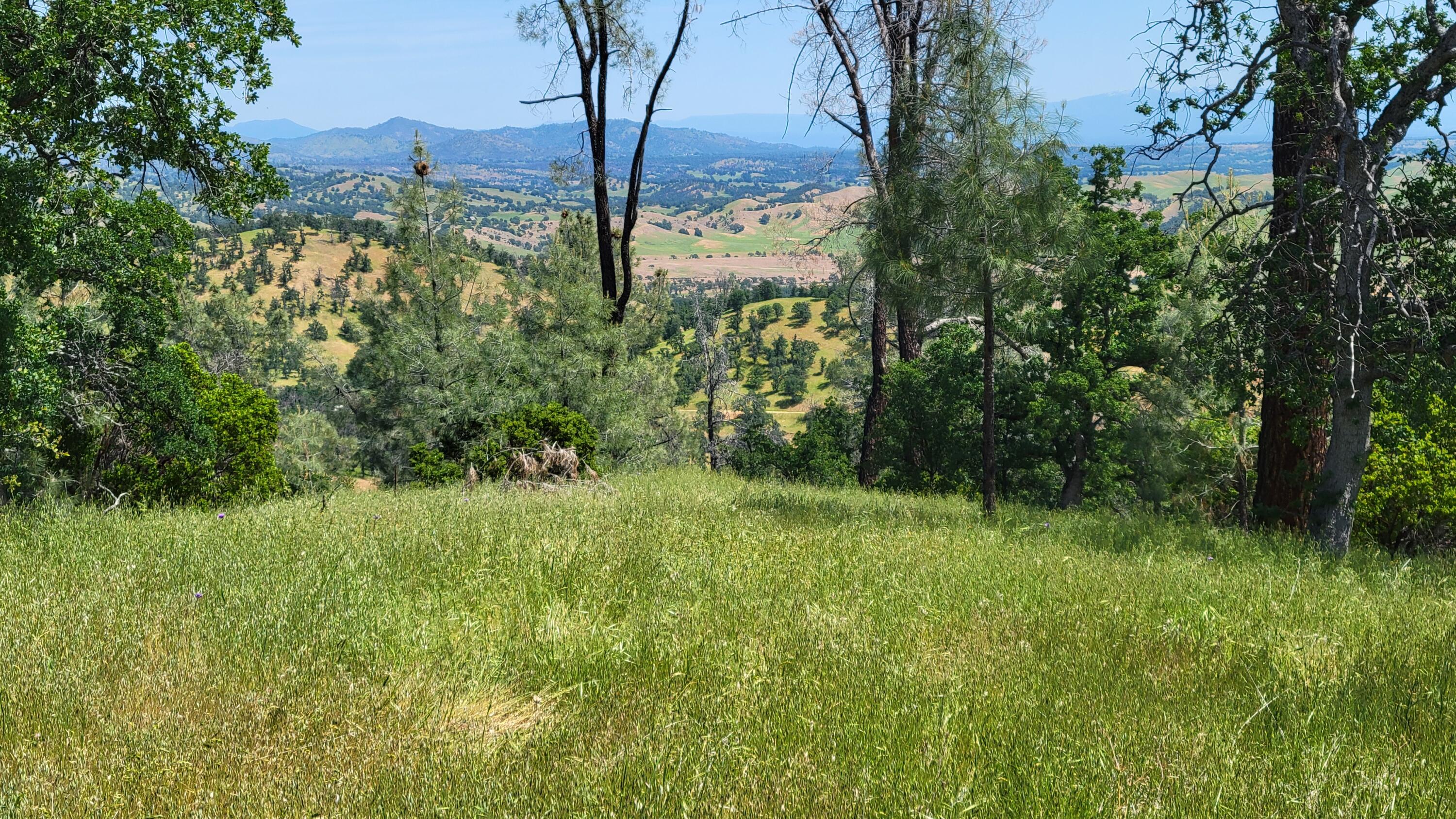 Lot 44 Jennifer Road Igo, CA 96047 - Photo 9 of 28