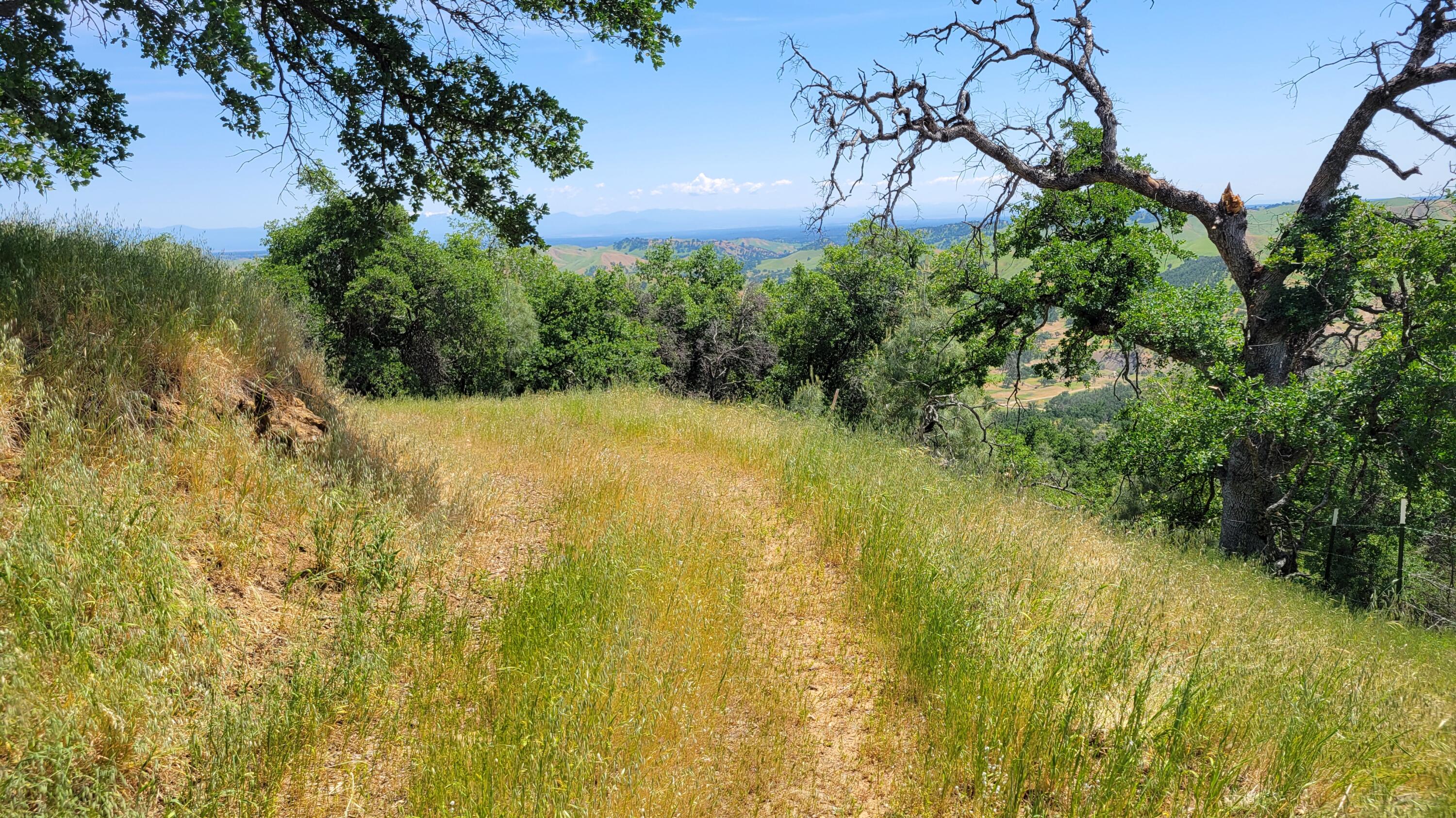 Lot 44 Jennifer Road Igo, CA 96047 - Photo 10 of 28