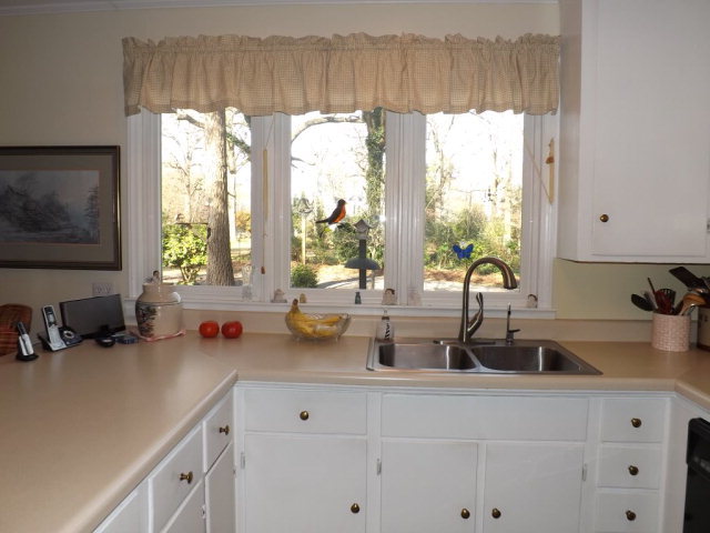 8561 X Way Road Gibson, NC 28343 - Photo 11 of 26 Additional Photo