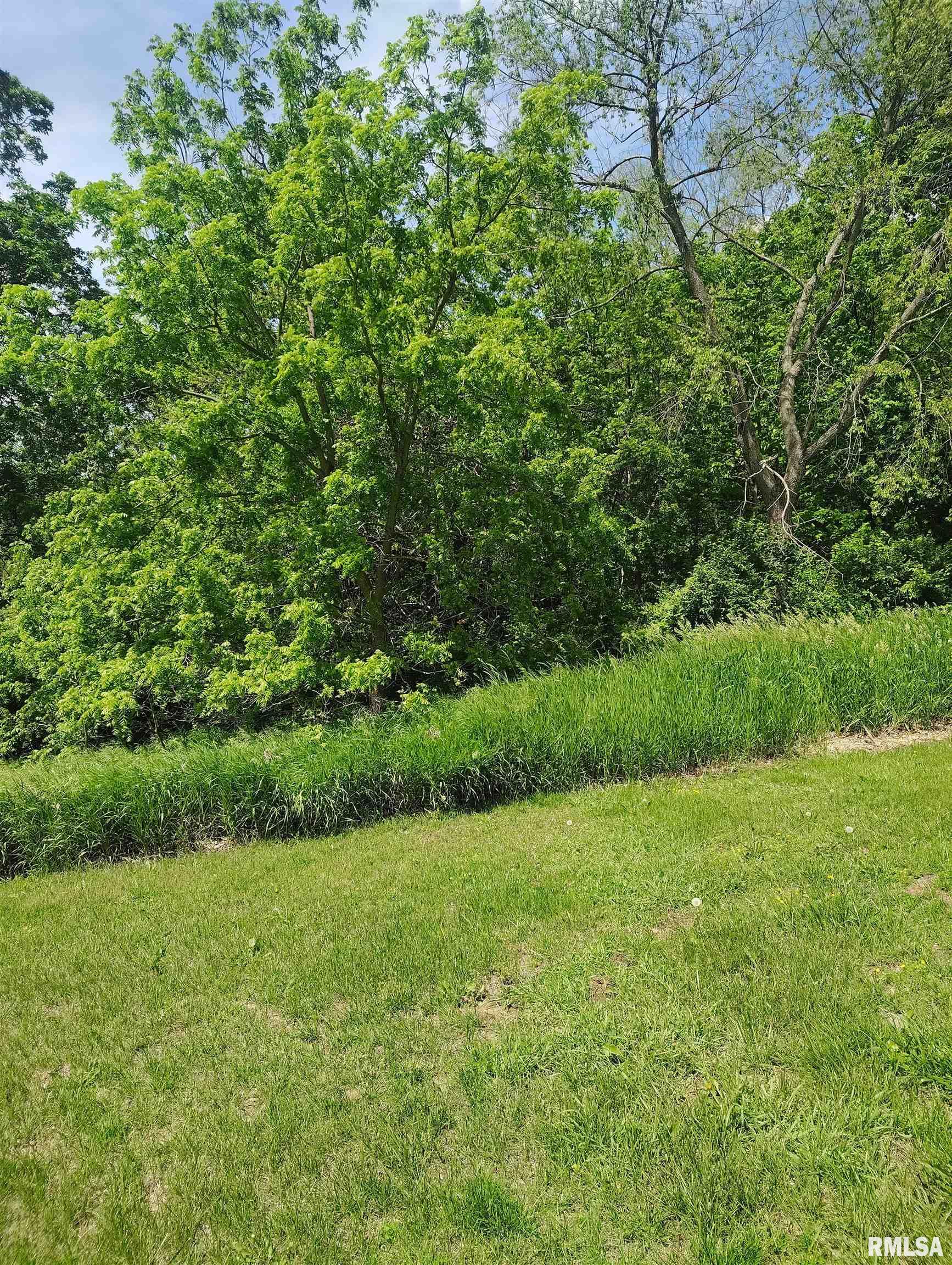30720 North Norris Blacktop Road Farmington, IL 61531 - Photo 10 of 94